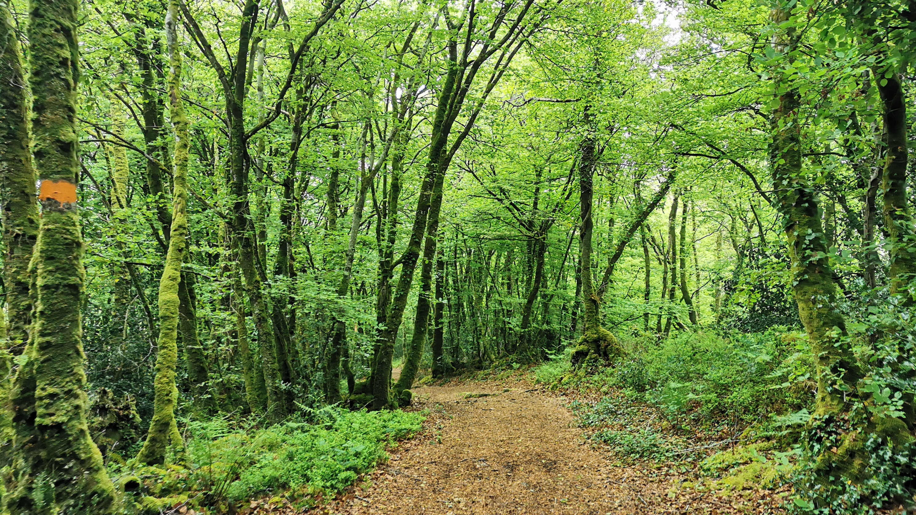 27-IMG_20210508_103609