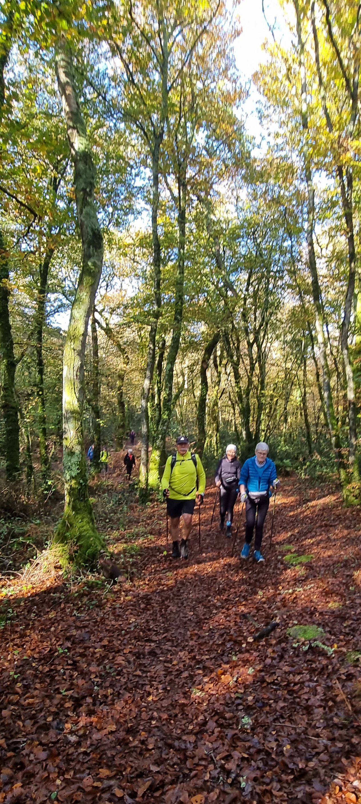 46-20211111_112351(0)