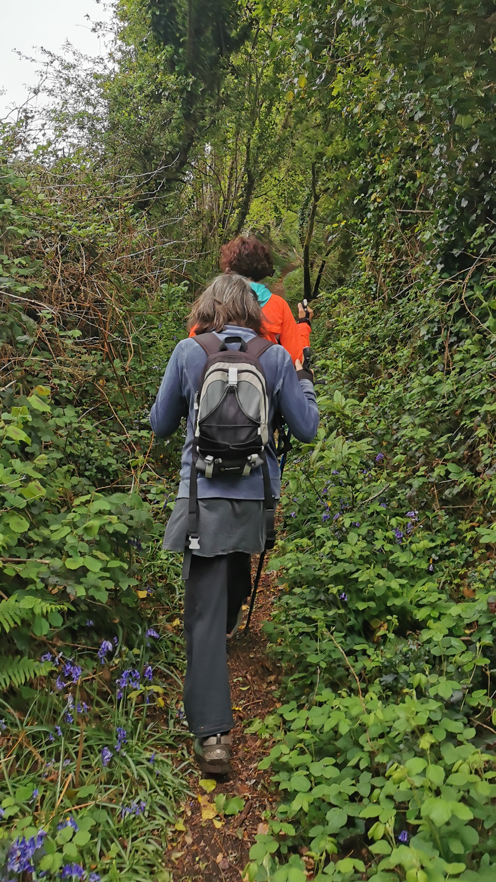 37-IMG_20210508_105201