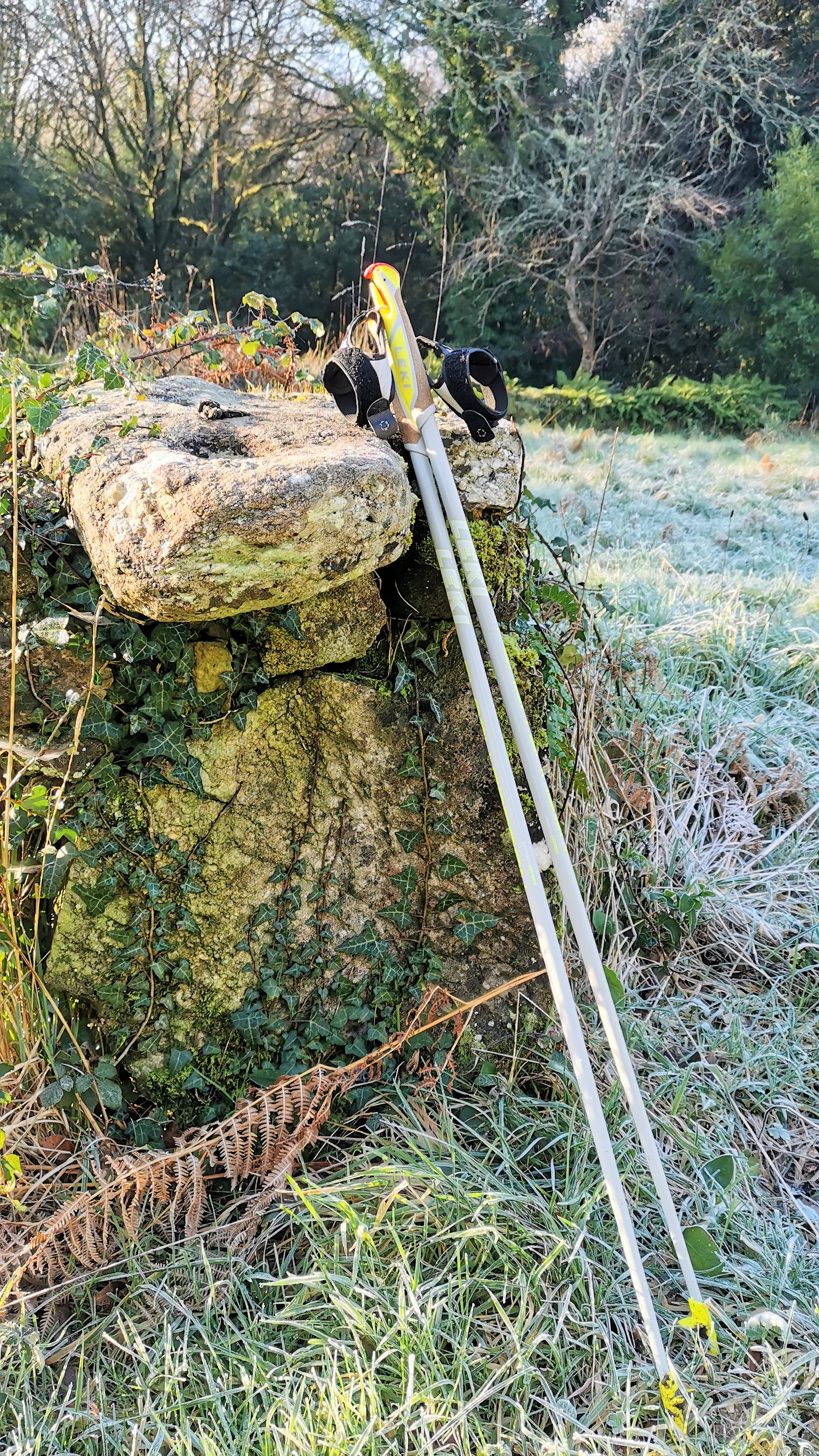 09-IMG_20210206_101112