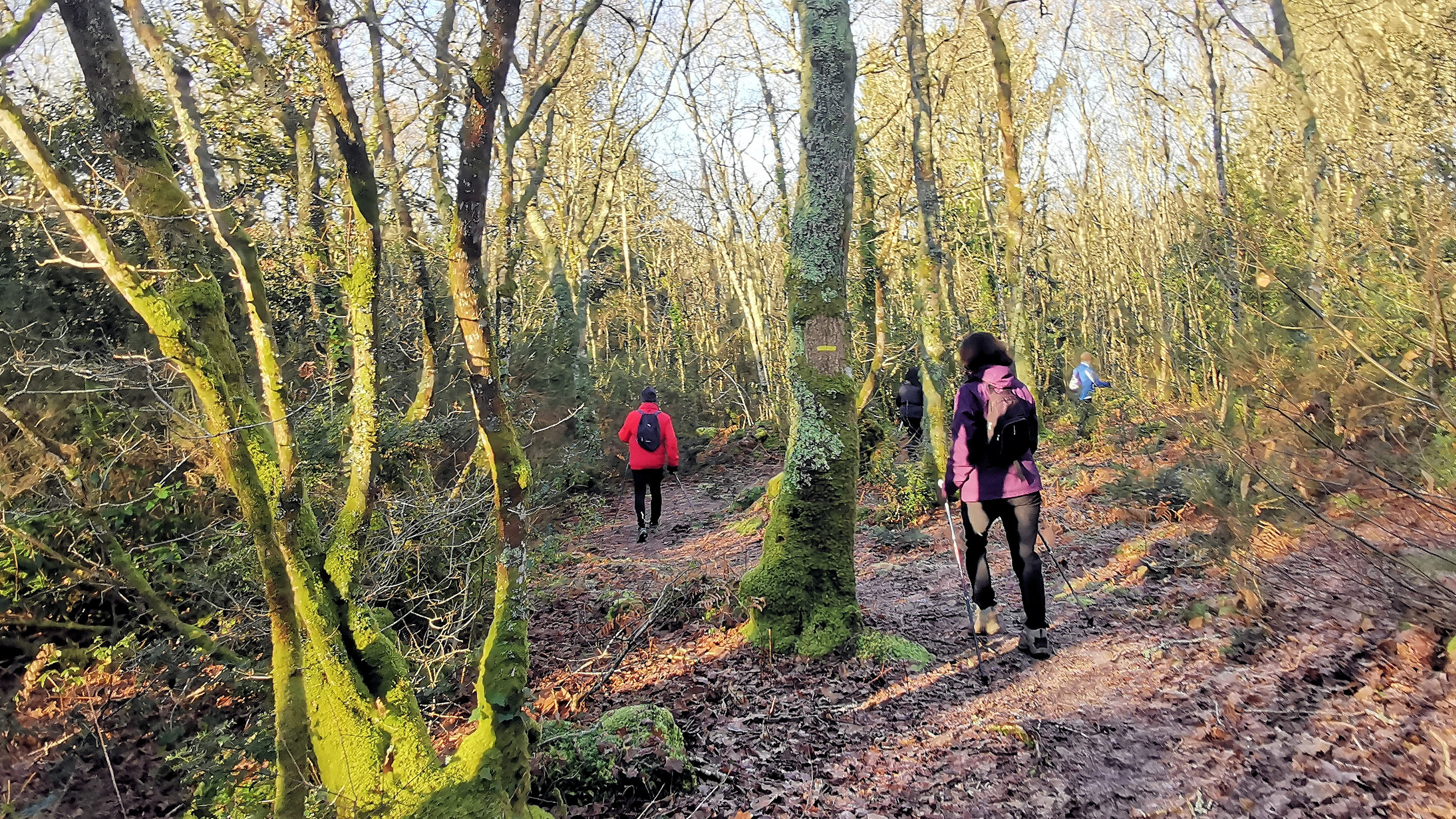 54-IMG_20210109_112304