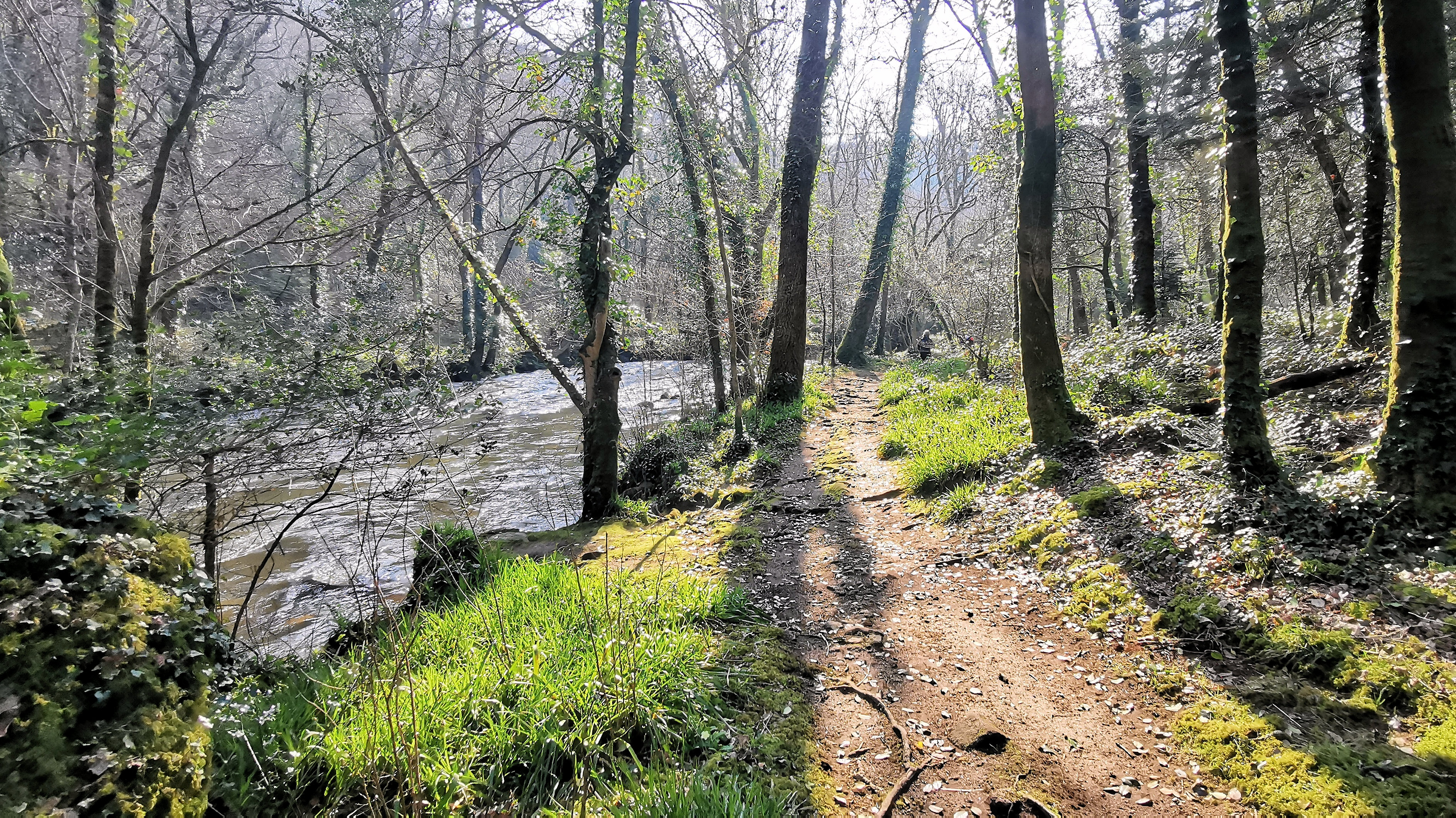 77-IMG_20210307_110347