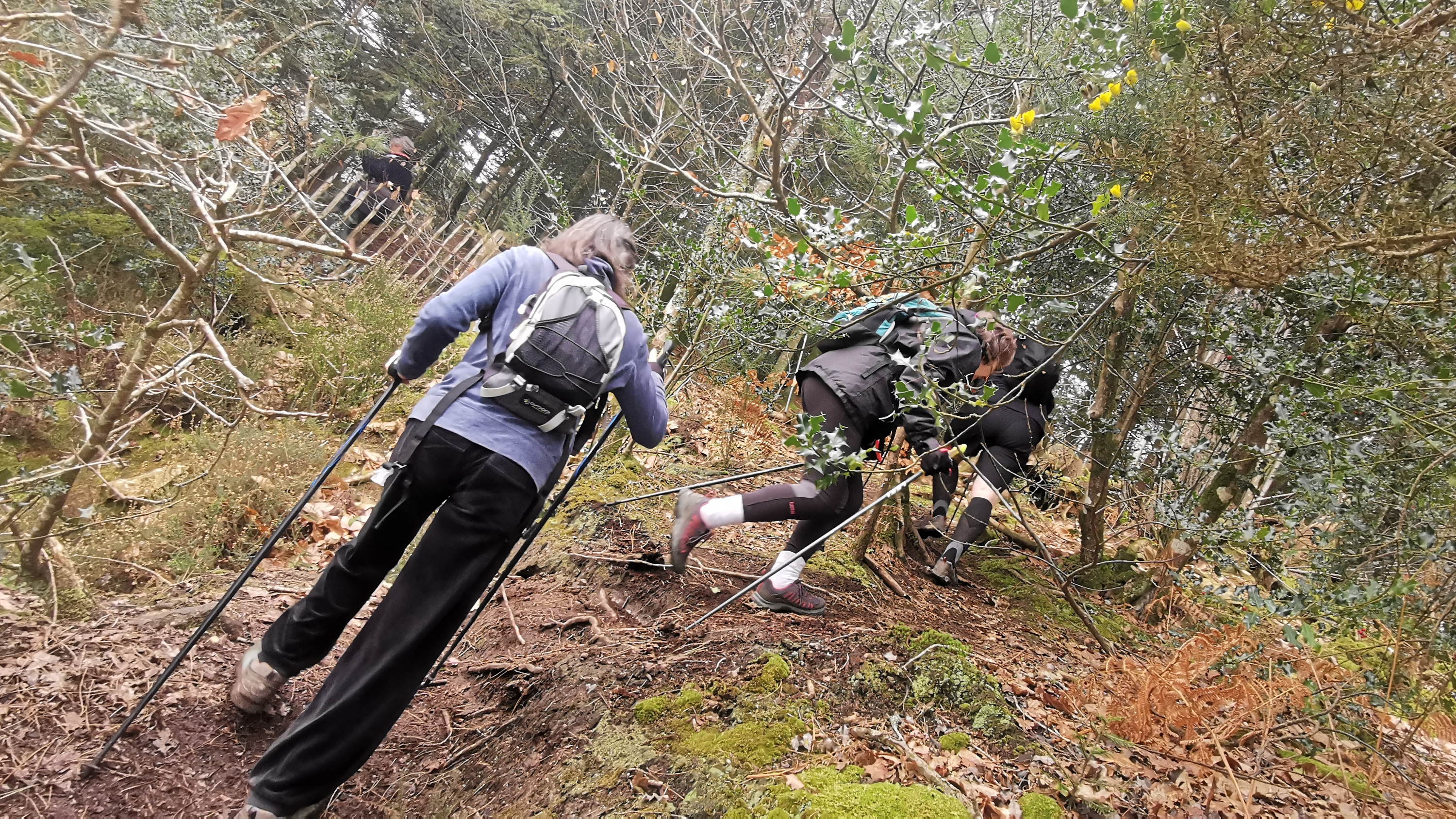 66-IMG_20210304_112512