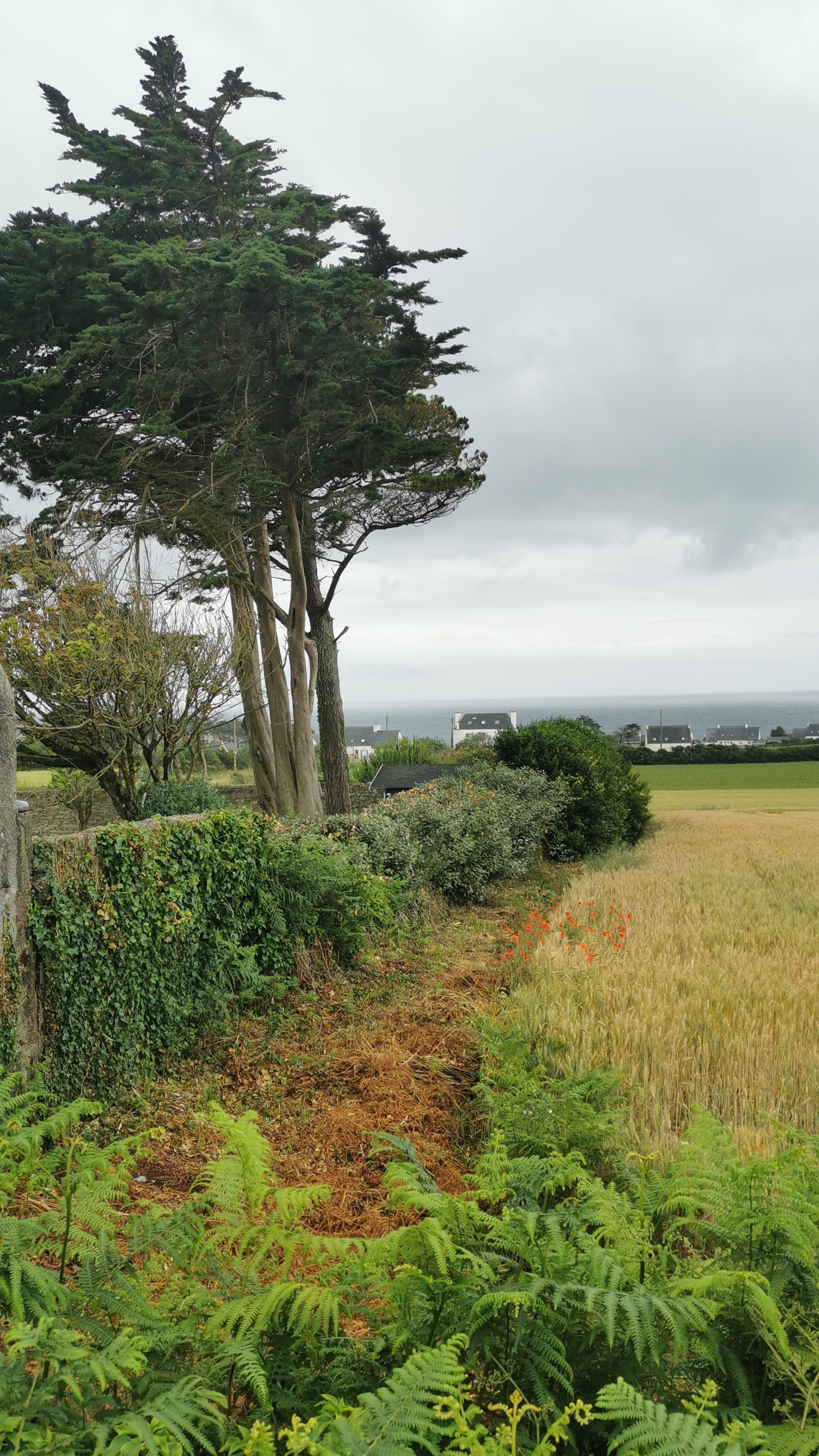 087-IMG_20210620_104451