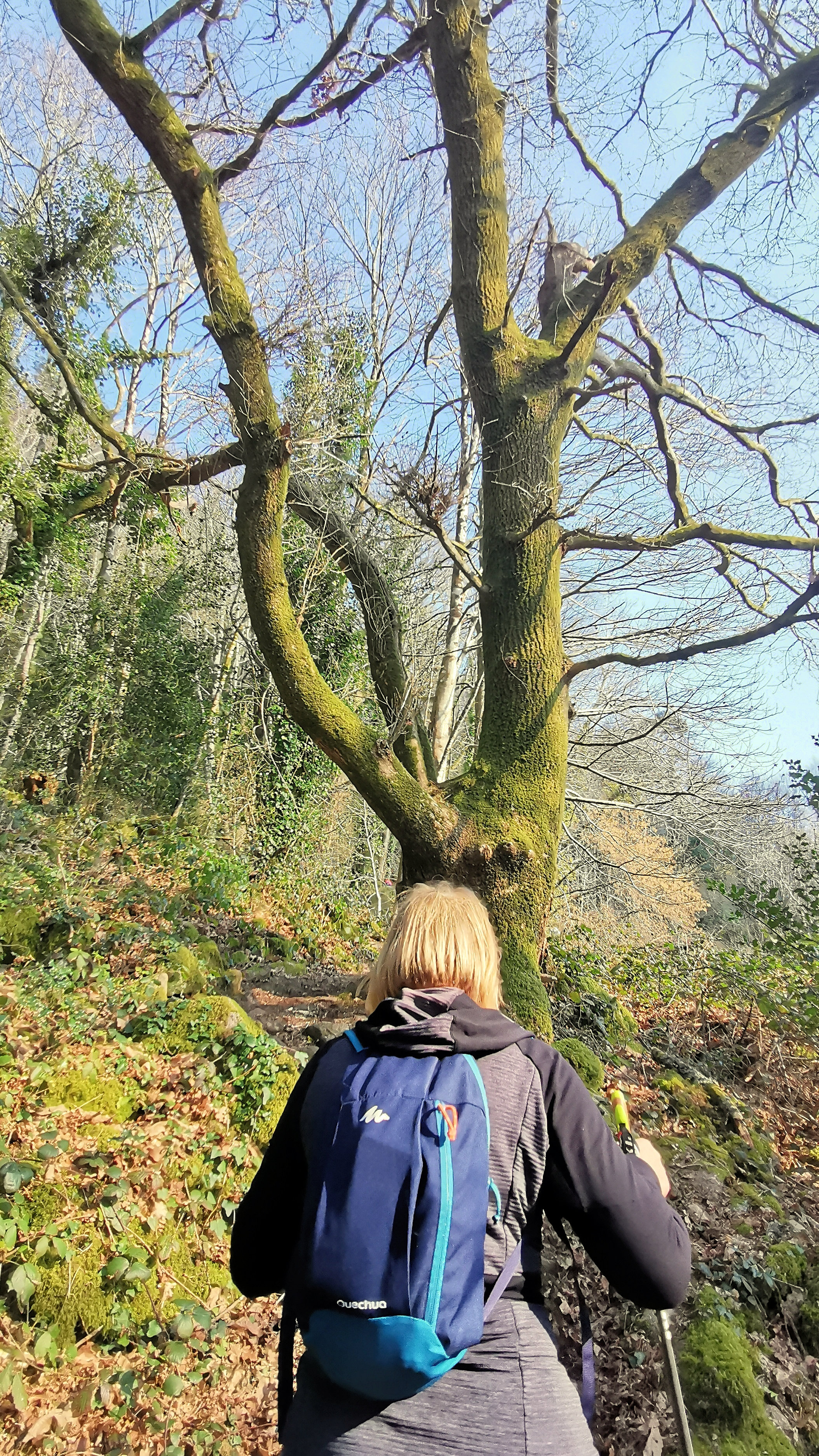 92-IMG_20210307_112427