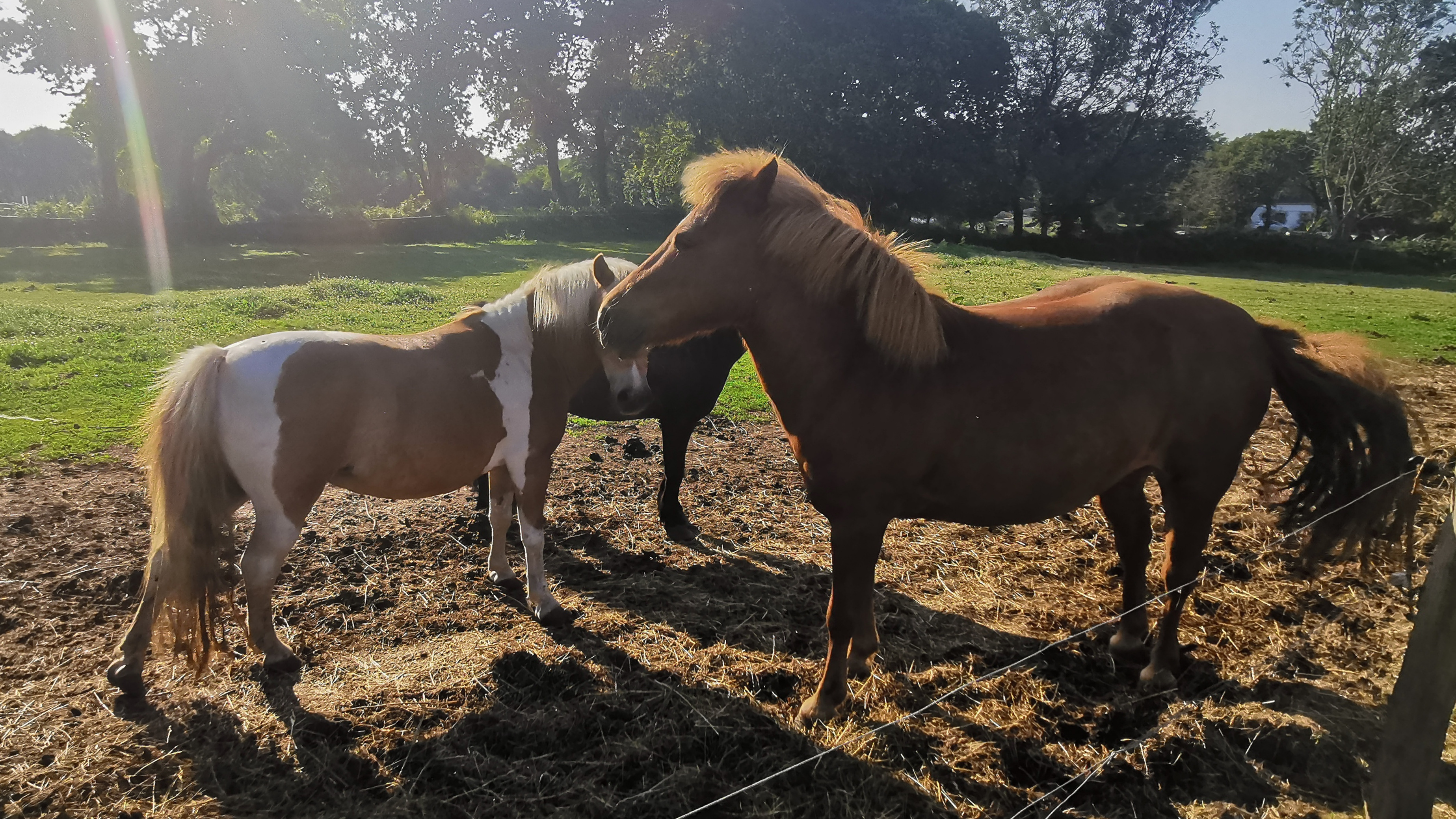 003-IMG_20210718_094120