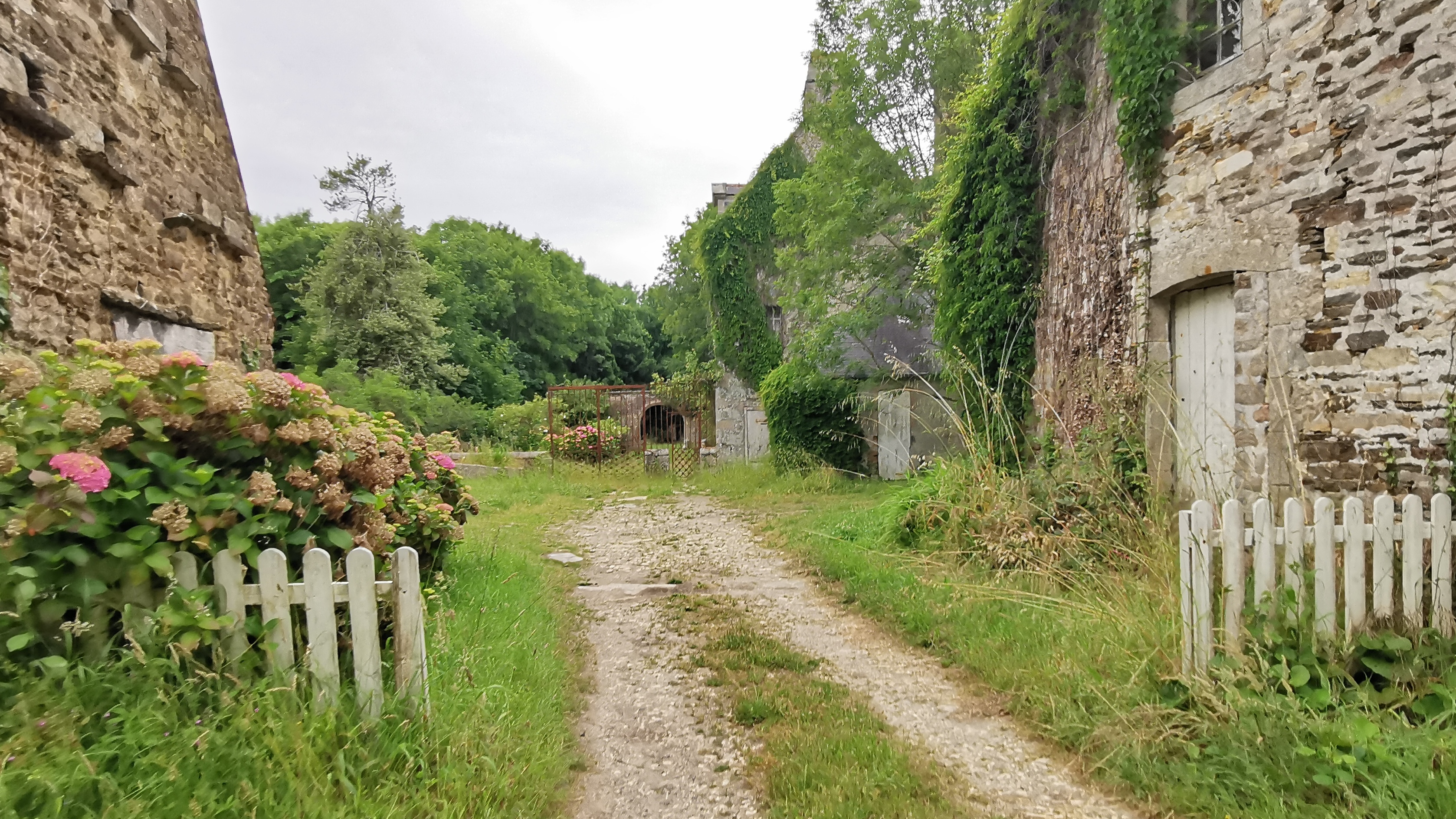 51-IMG_20210619_105843