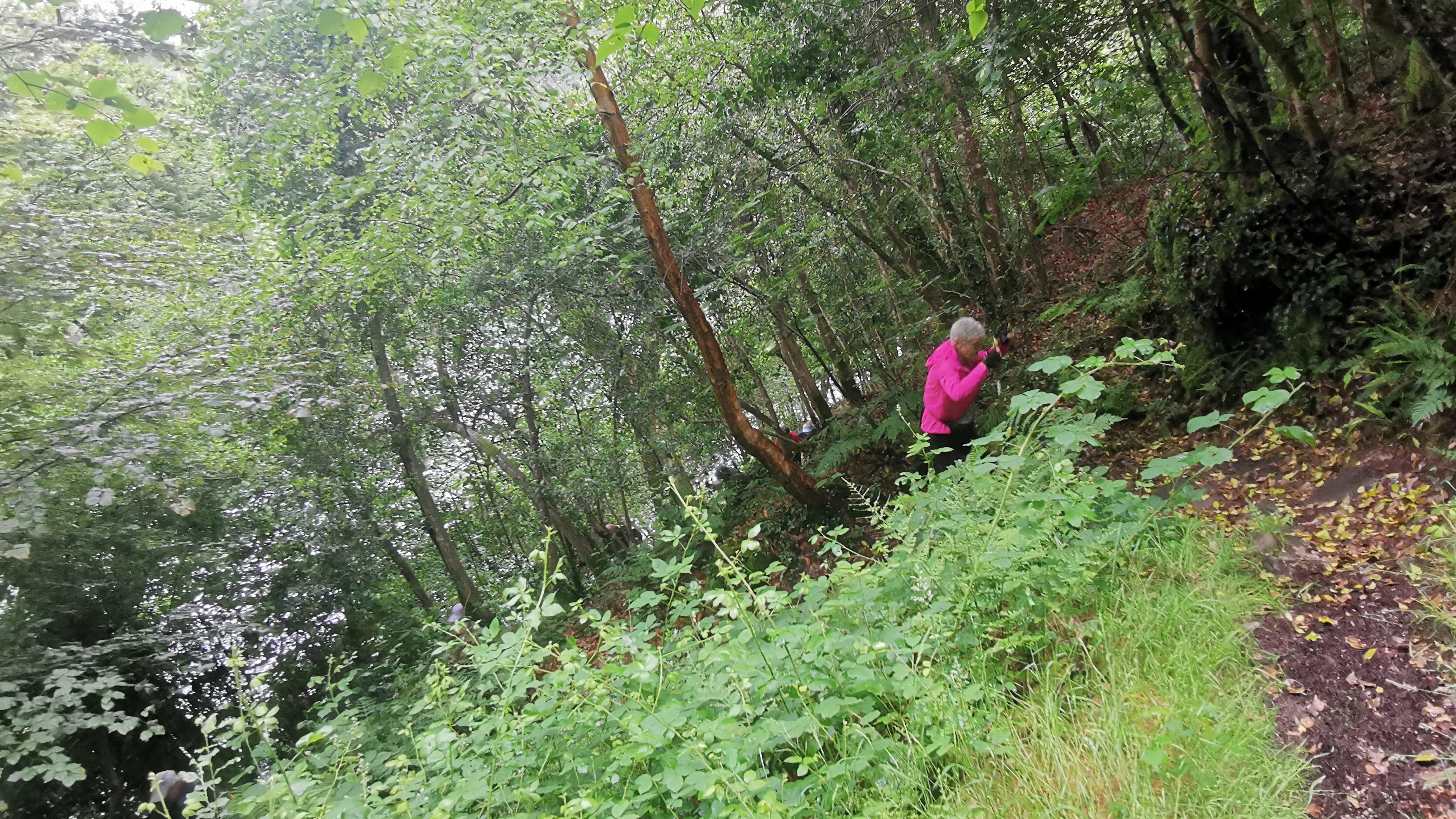 36-IMG_20210617_110915