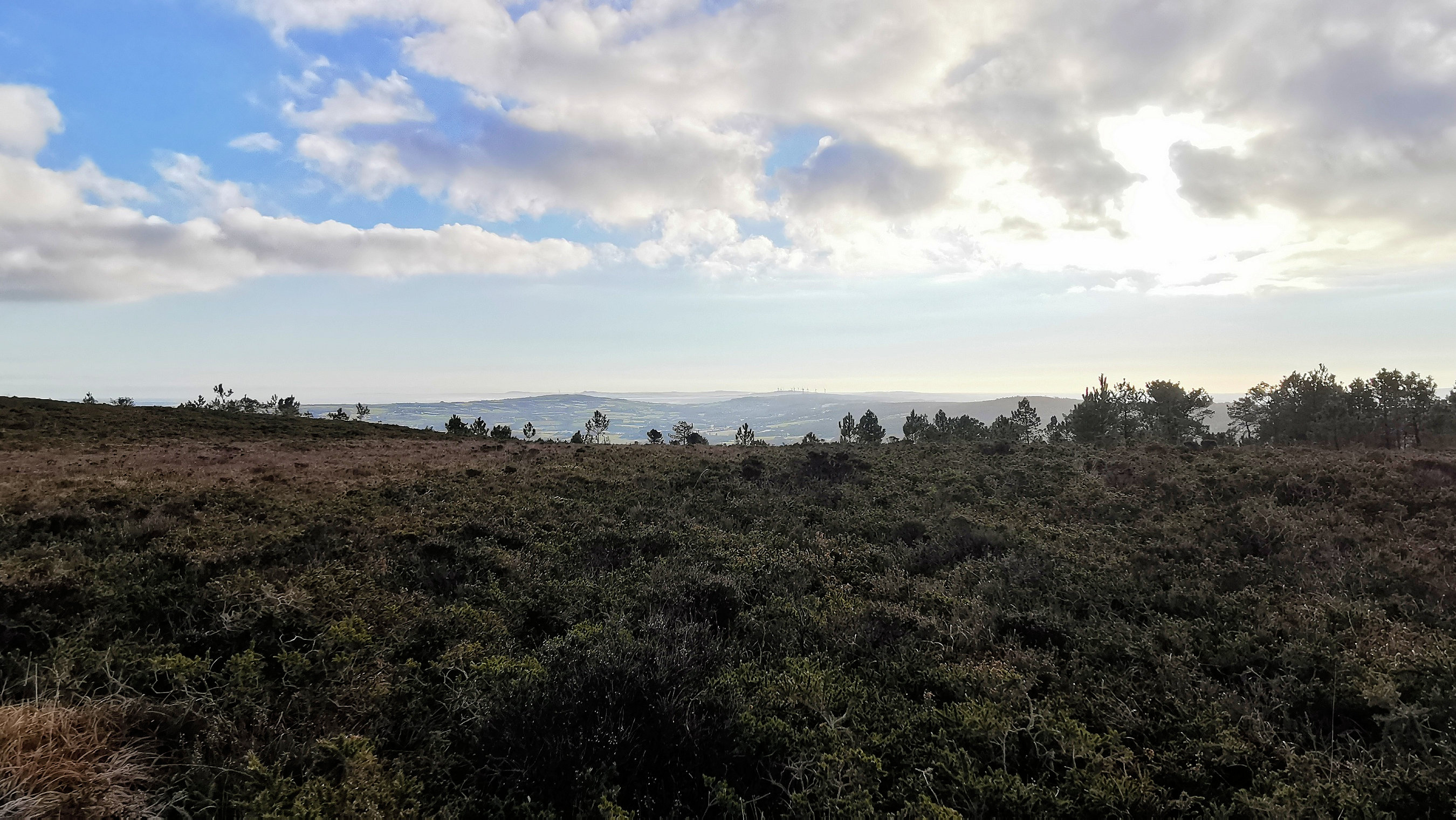 104-IMG_20210110_110507