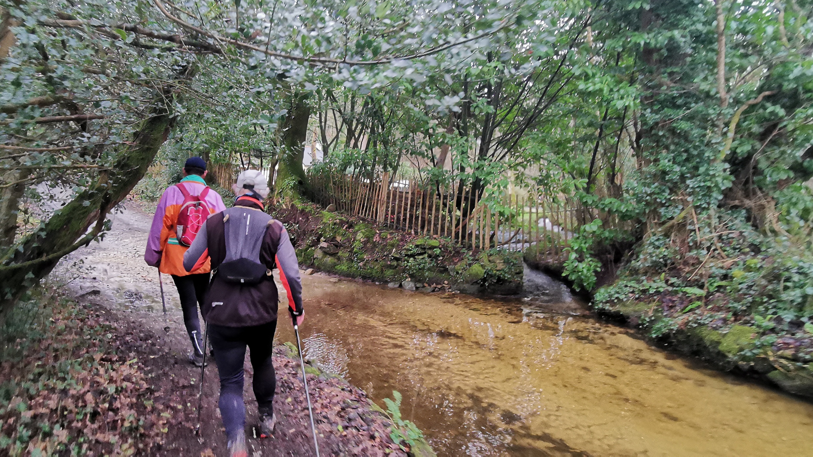 011-IMG_20210220_094041