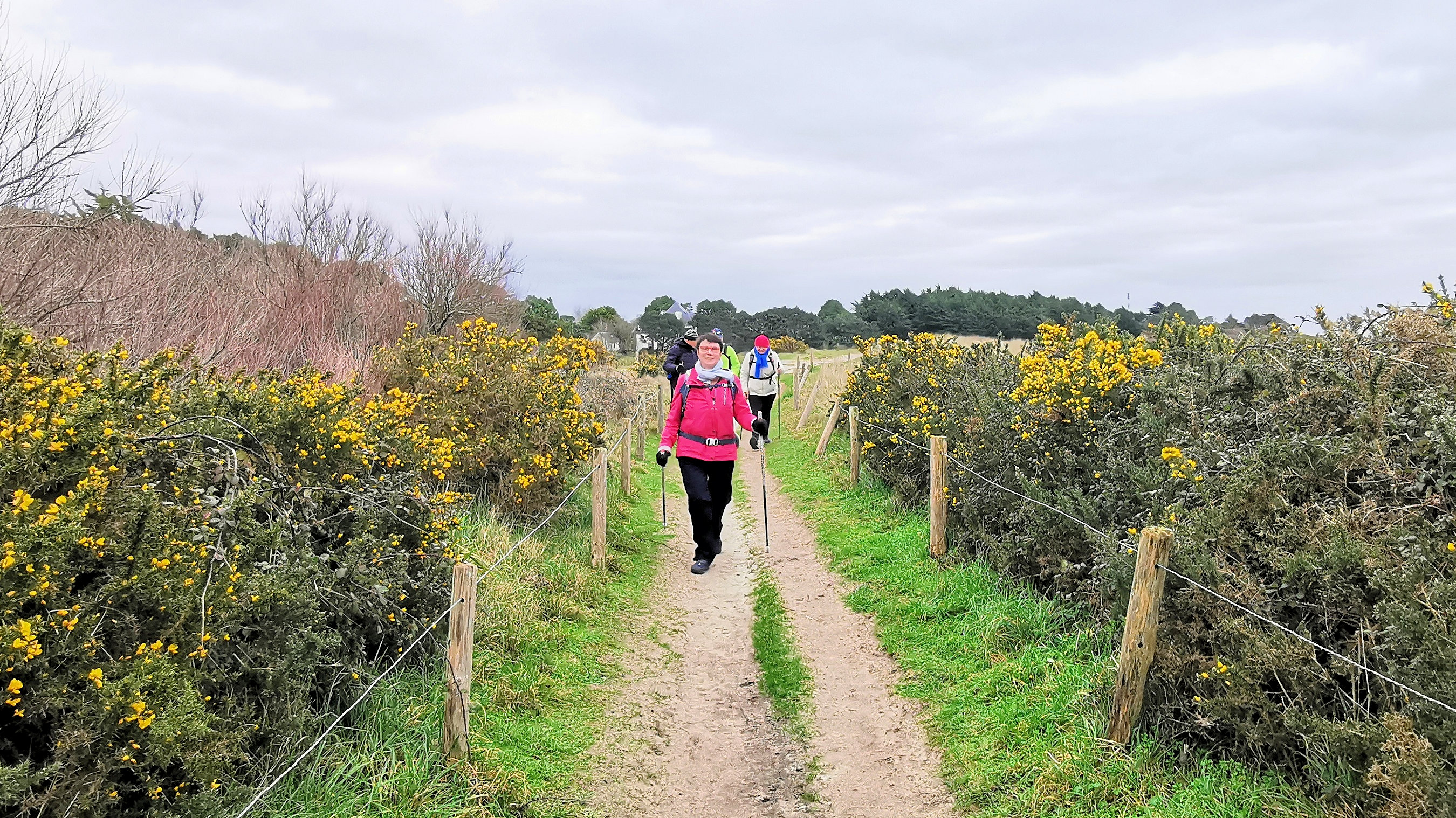 19-IMG_20210208_111716_1