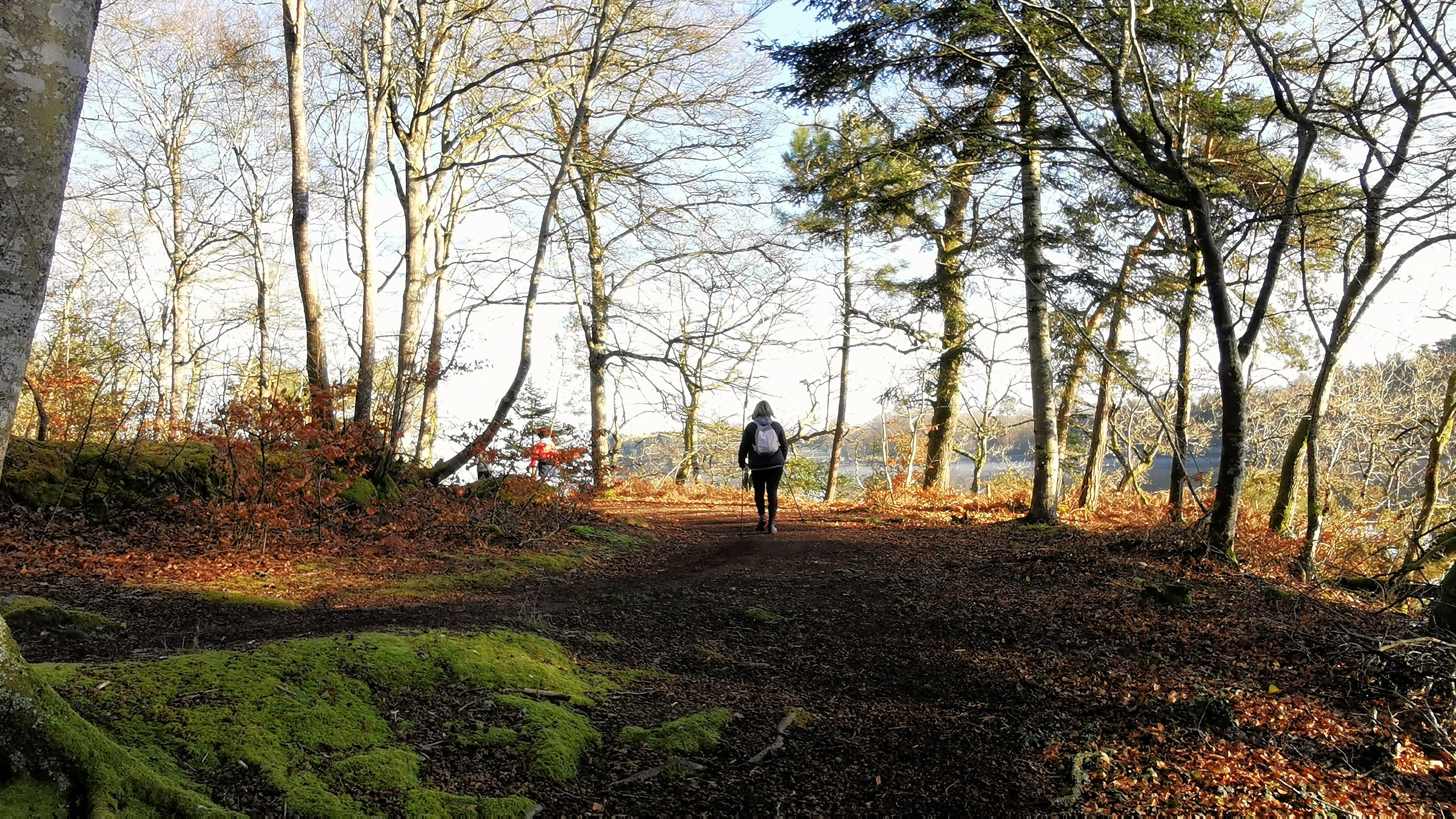 25-IMG_20210207_101925