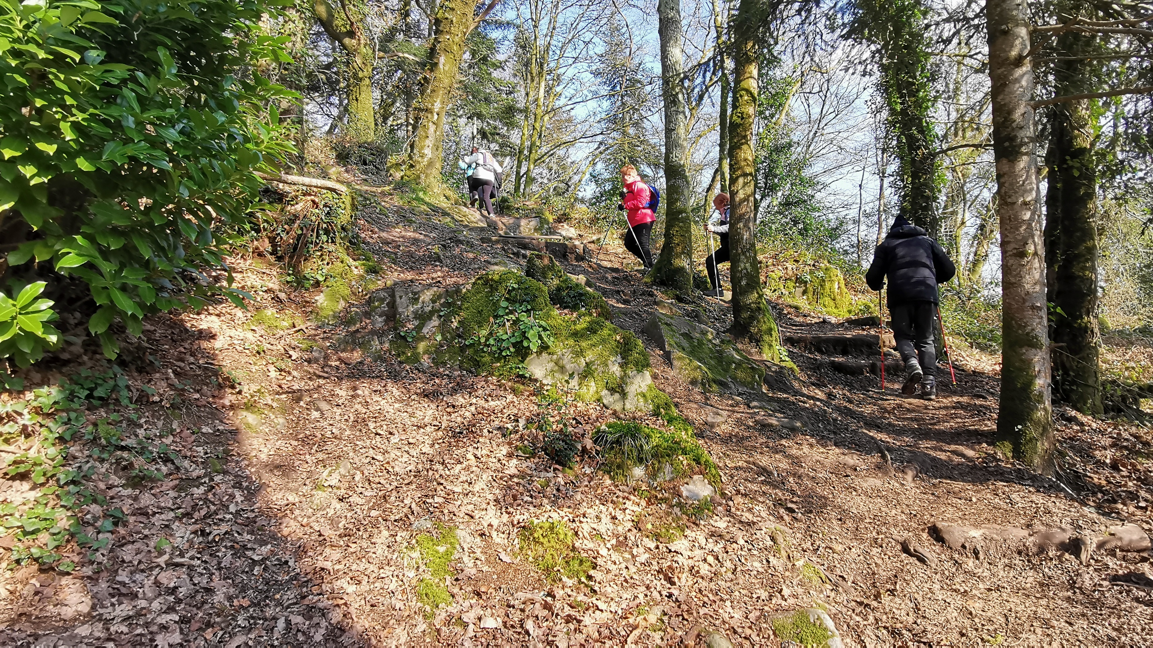 64-IMG_20210308_112248