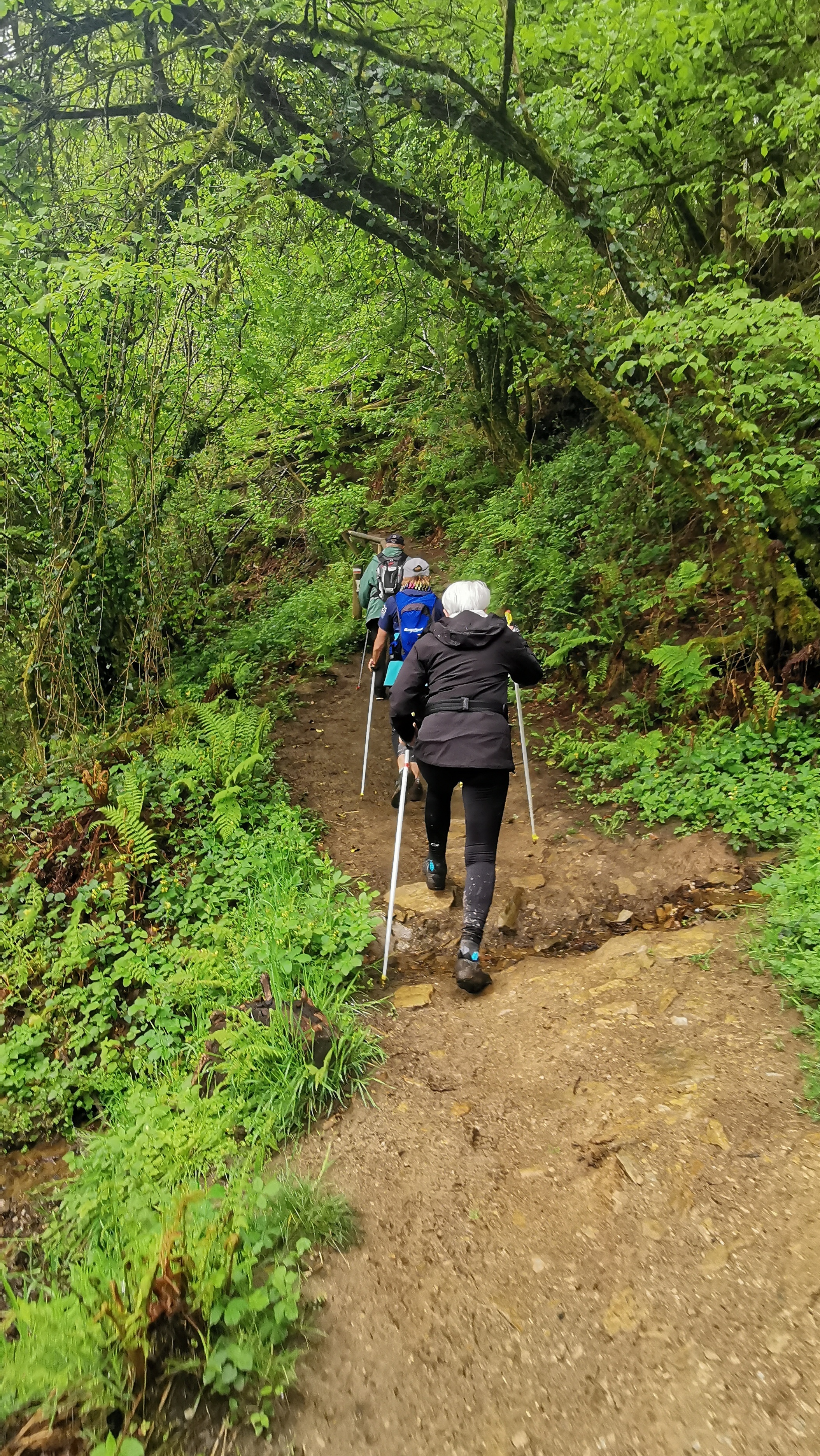 102-IMG_20210513_111942