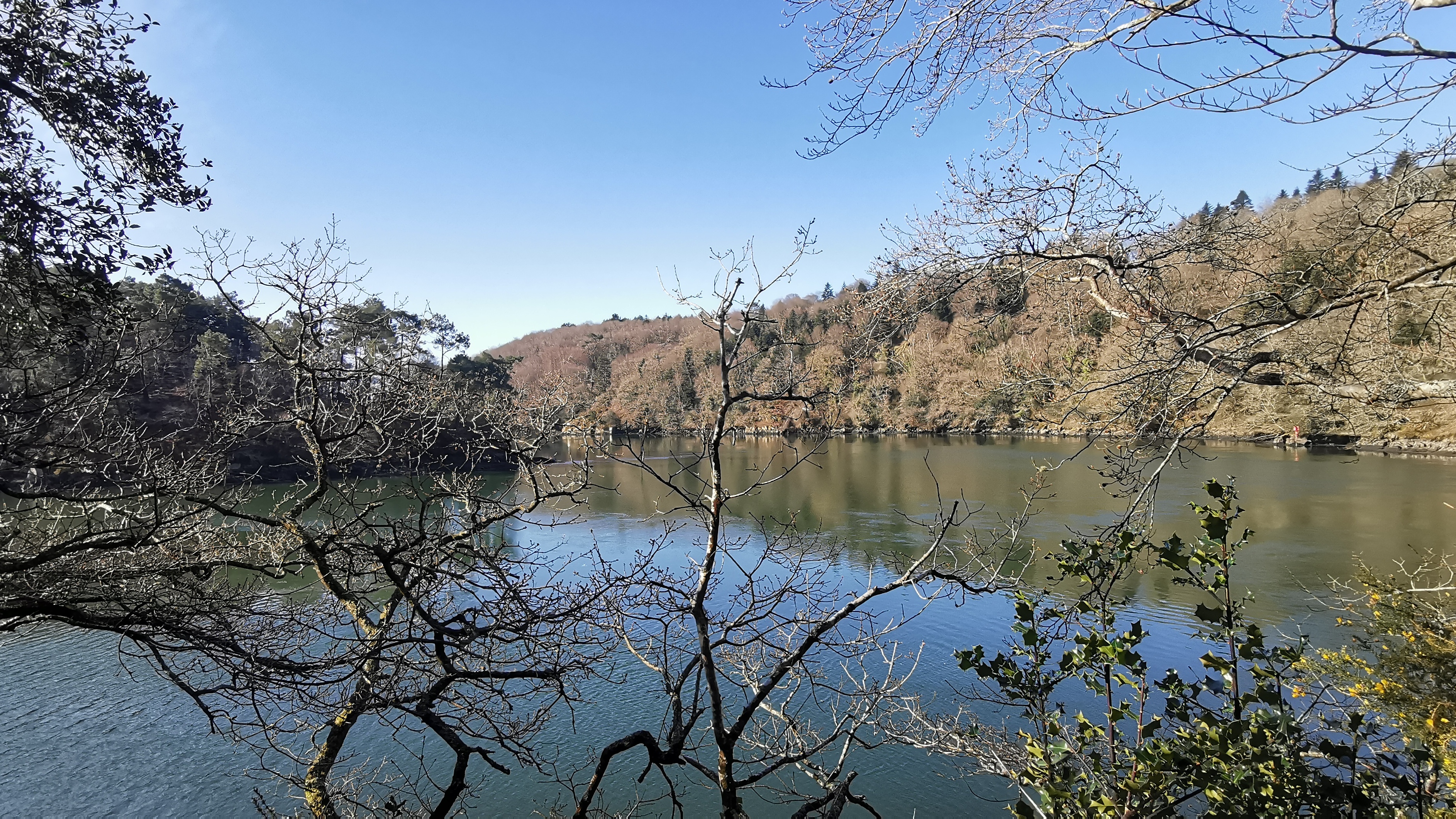 08-IMG_20210320_100059_1