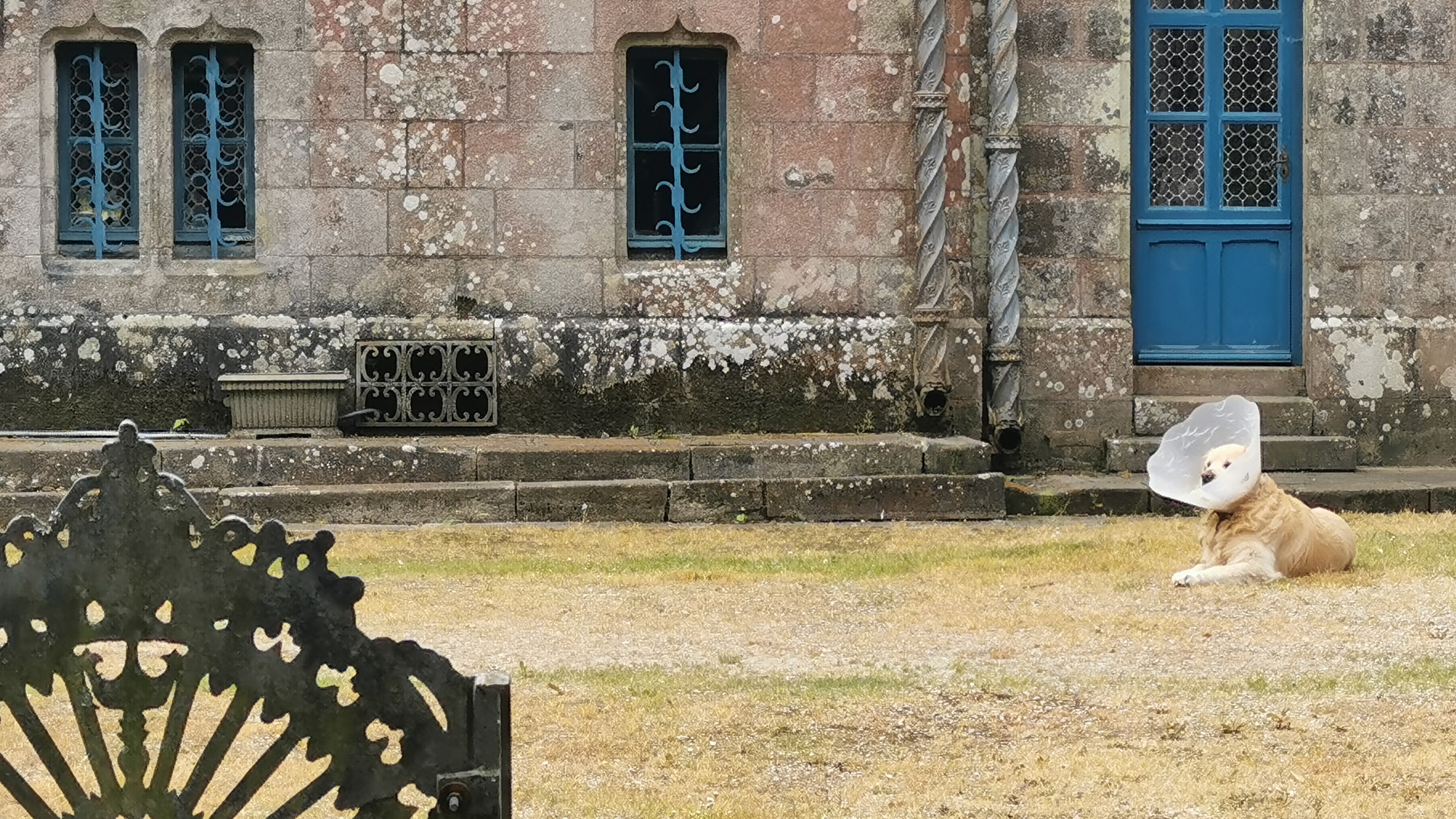 077-IMG_20210606_110337