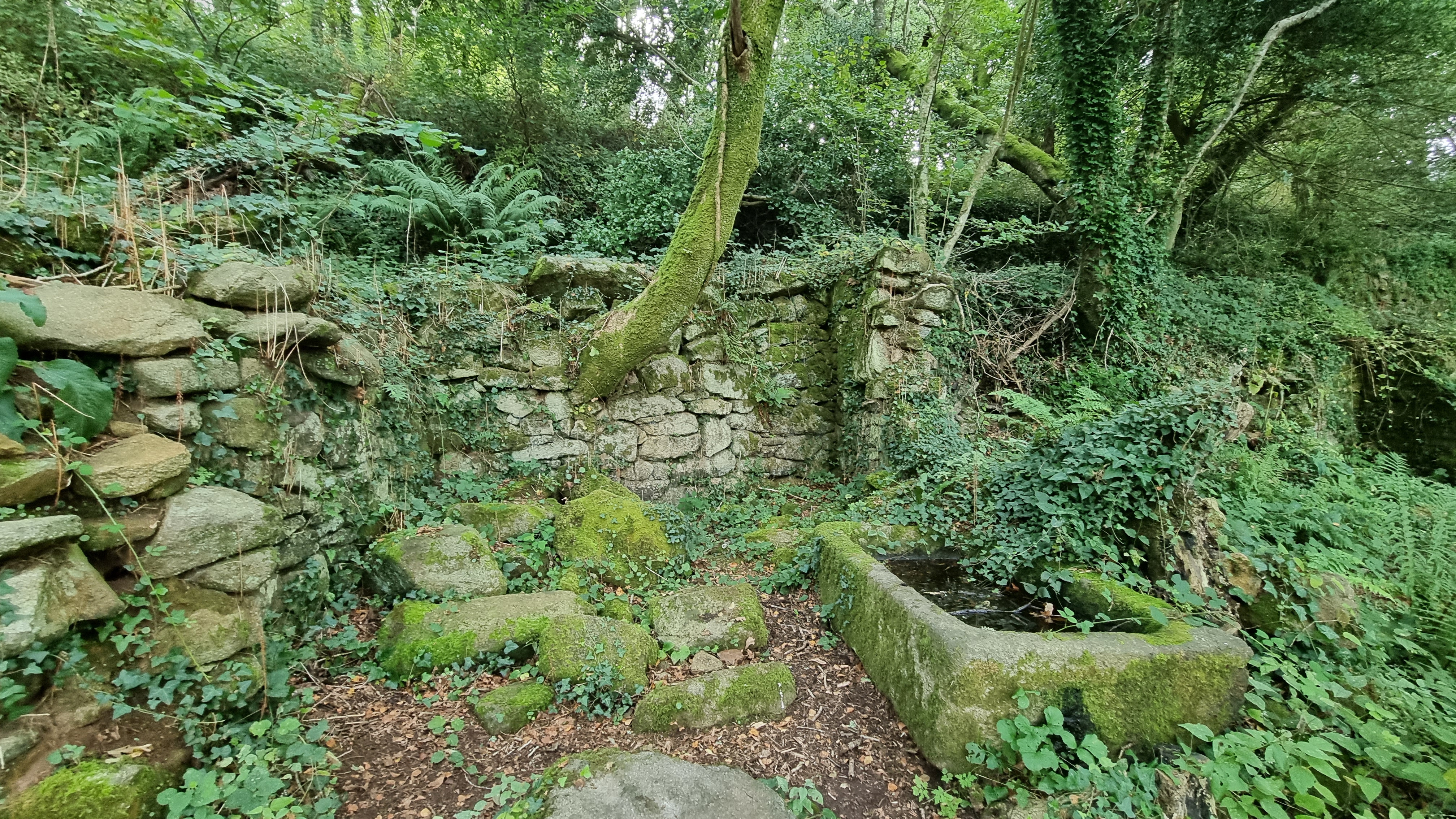 32-20210912_102637(0)