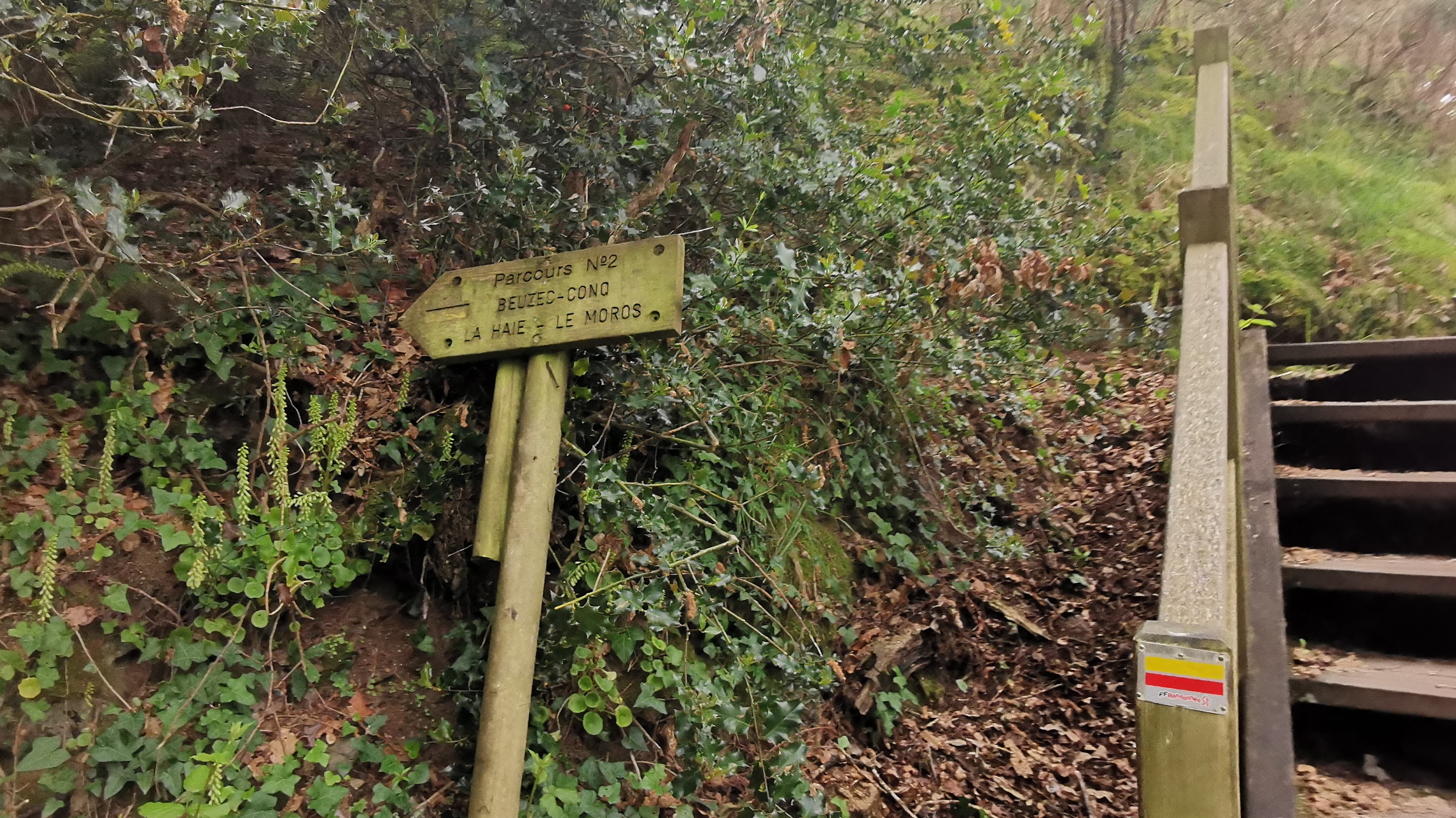 006-IMG_20210606_094015_1