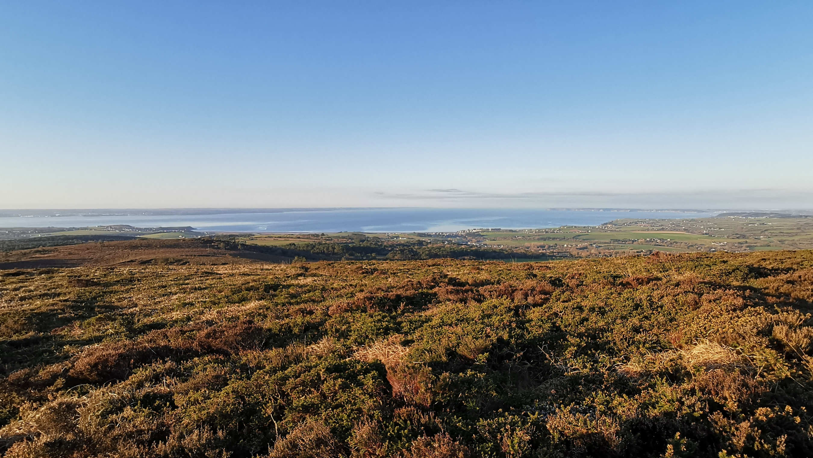 025-IMG_20210110_100806