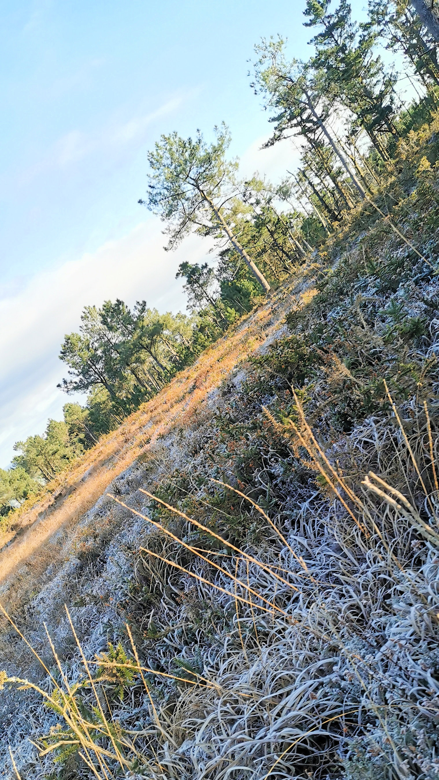 070-IMG_20210110_104639_1