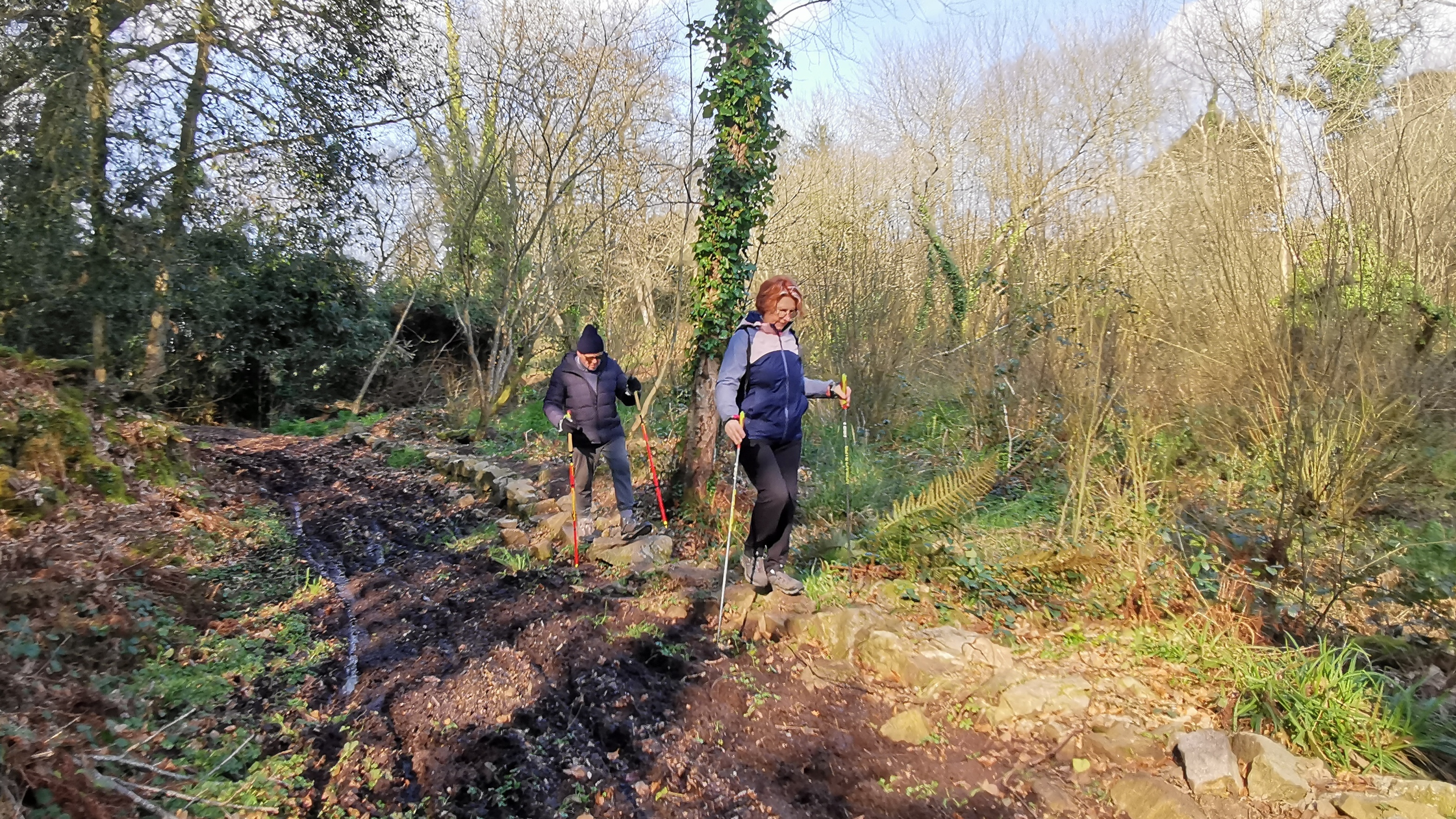 52-IMG_20210308_111606