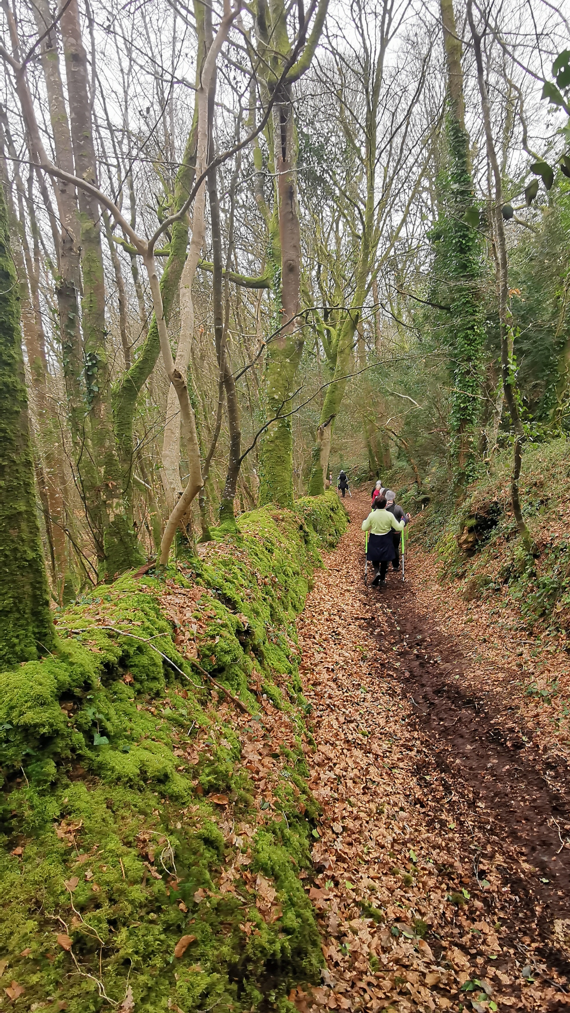 37-IMG_20210316_104611_2