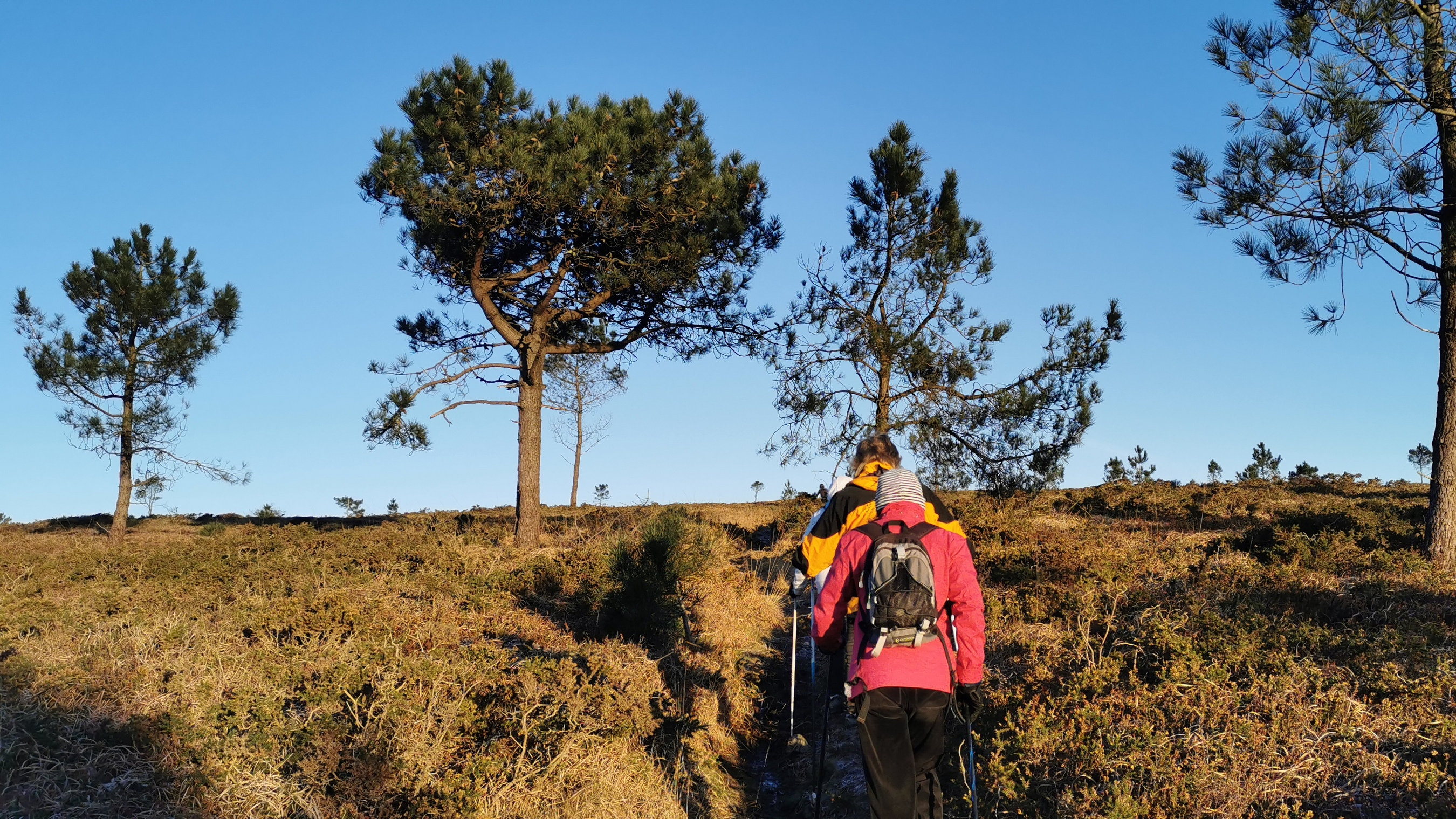 011-IMG_20210110_094951