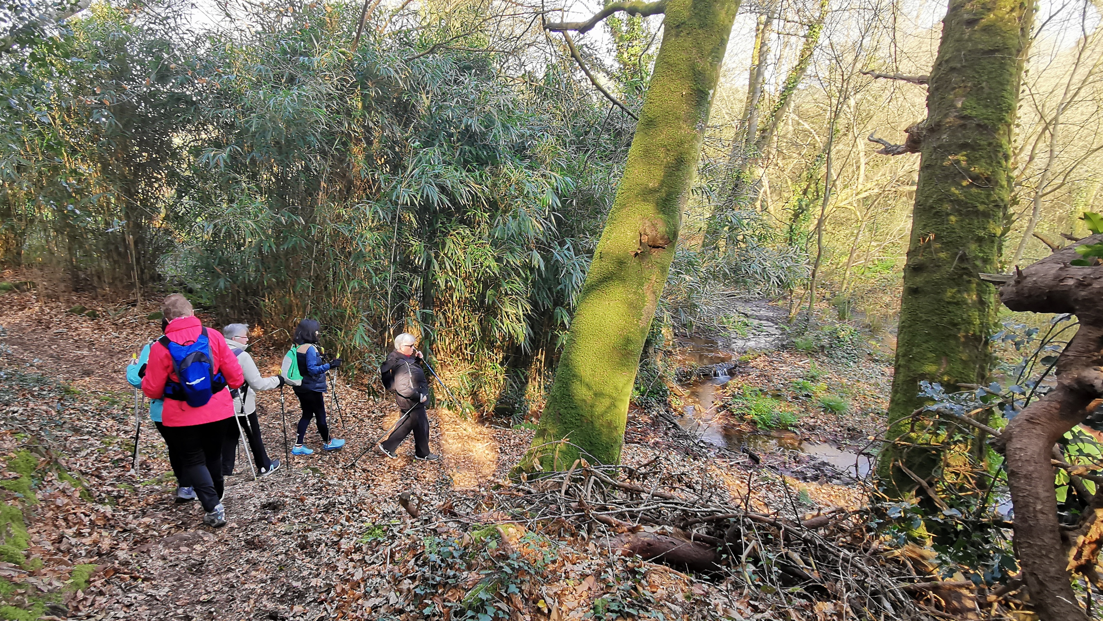 48-IMG_20210308_111442