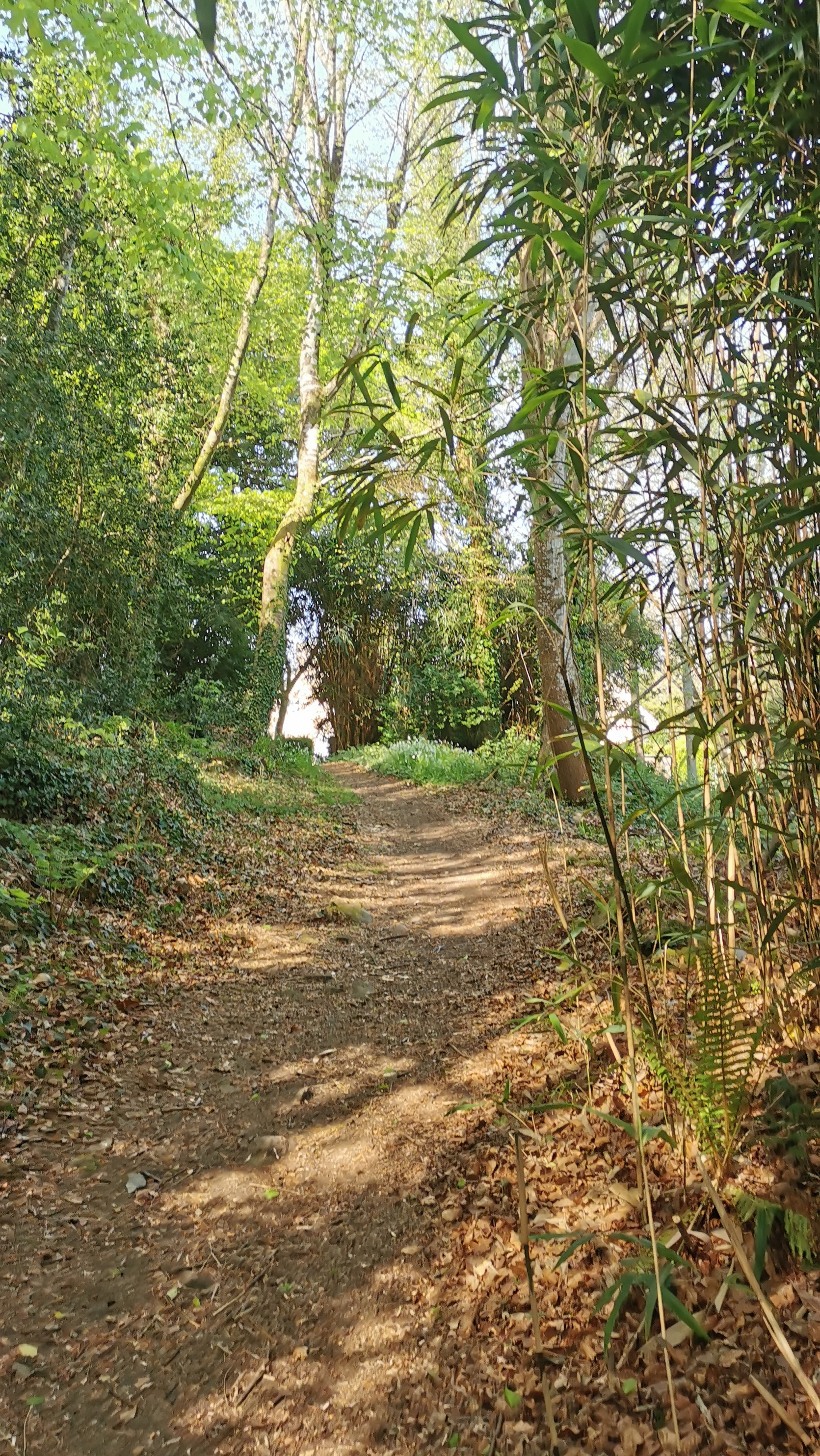 40-IMG_20210426_112240