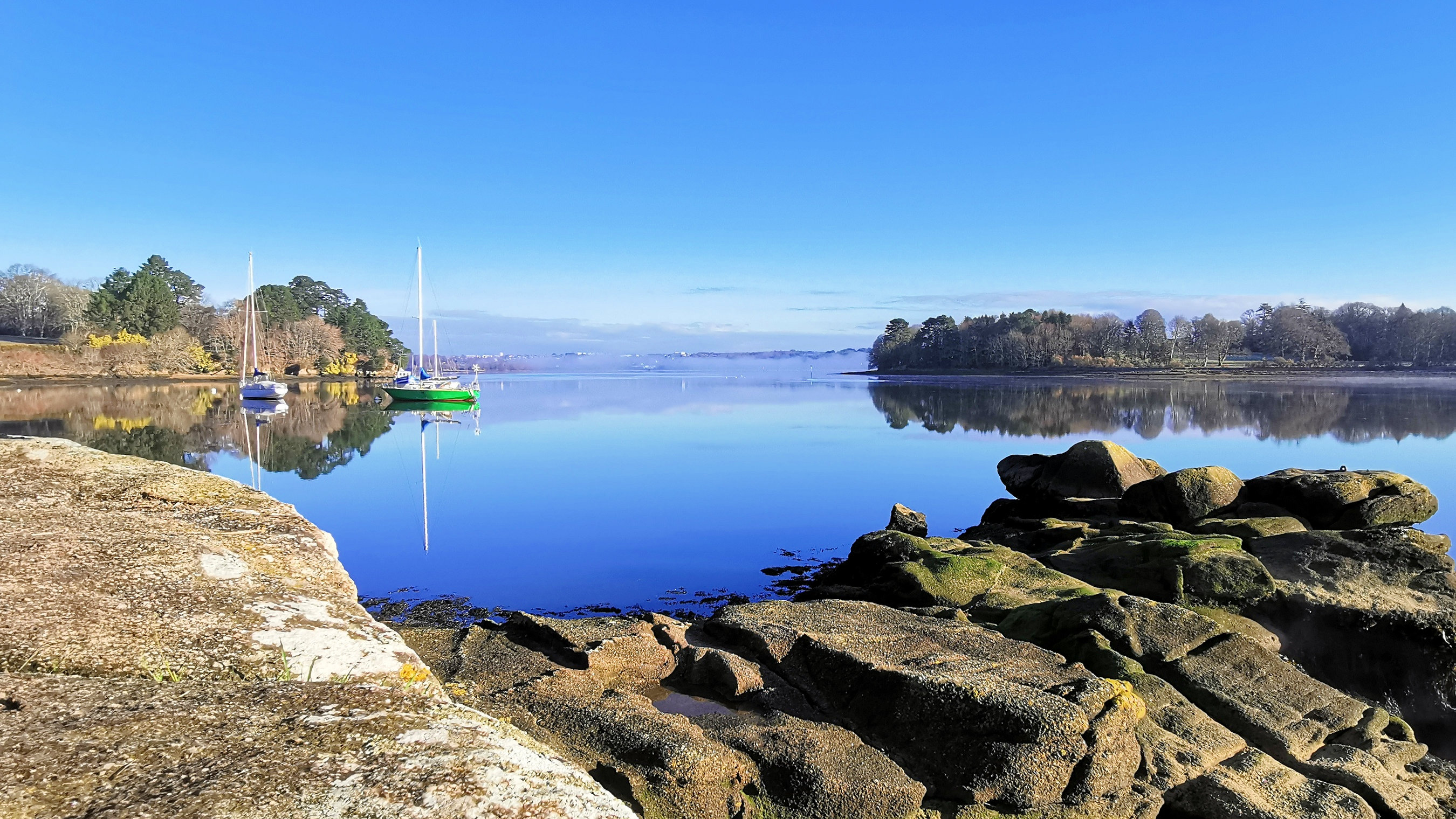 33-IMG_20210207_102503