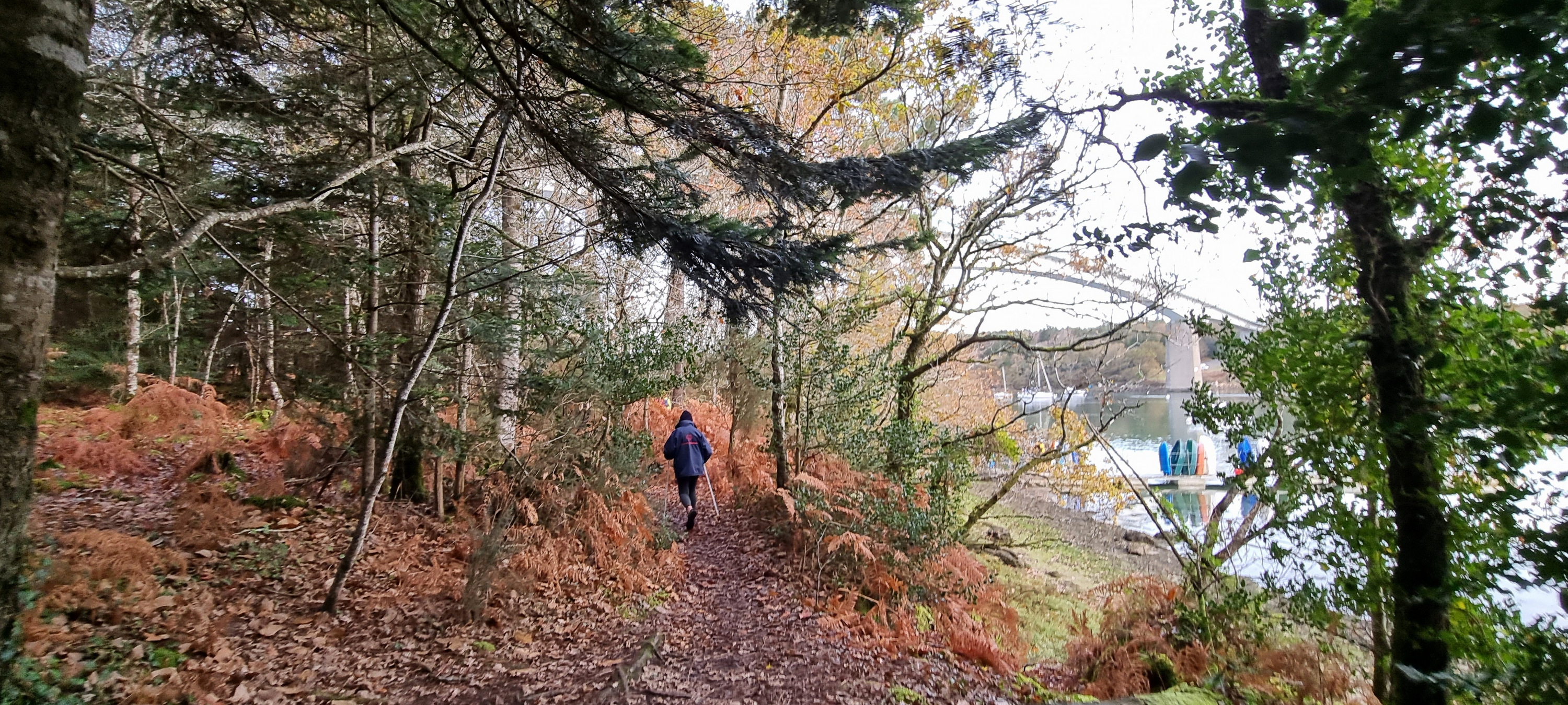 18-20211129_100651(0)