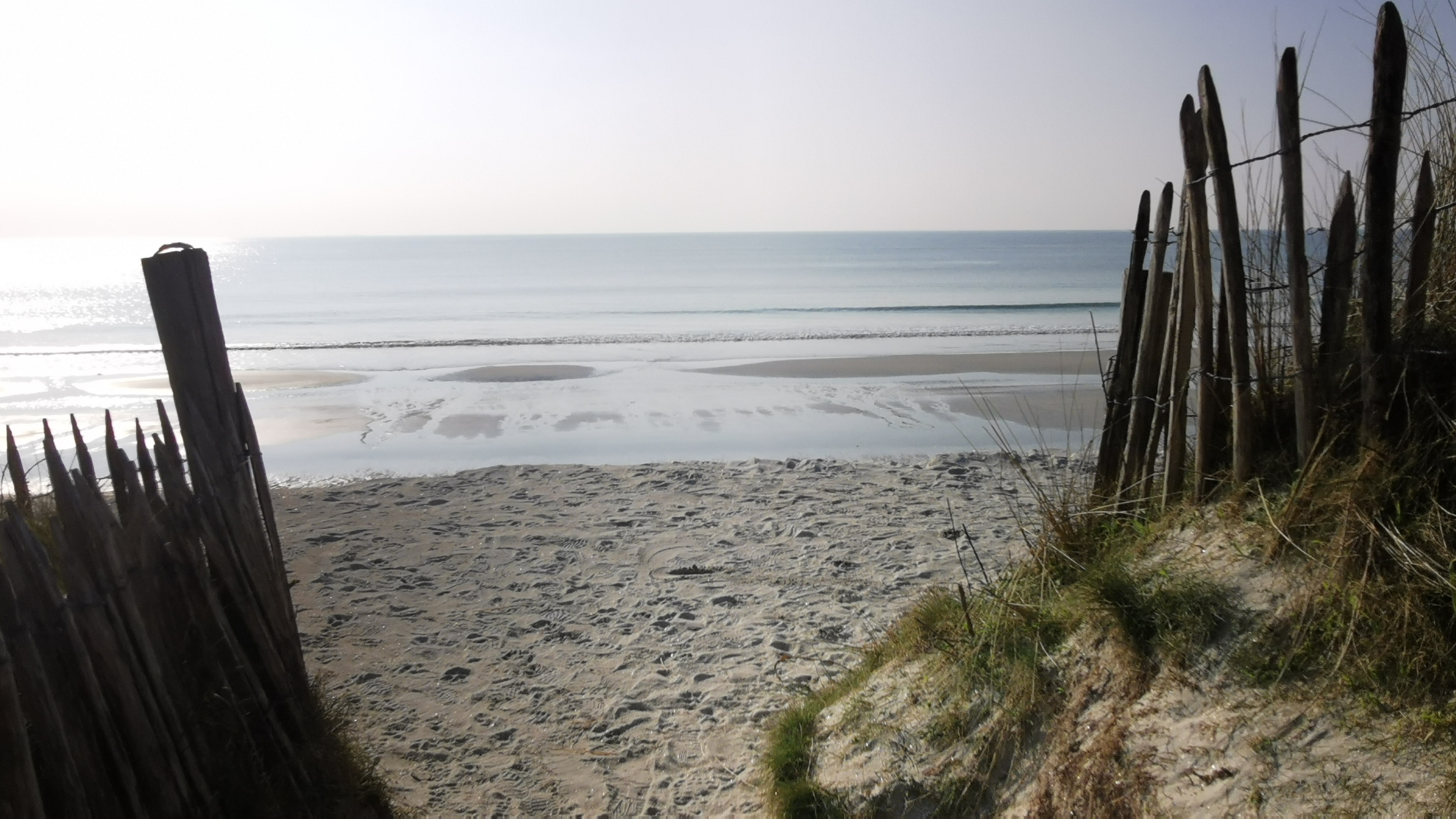 08-IMG_20210309_101324