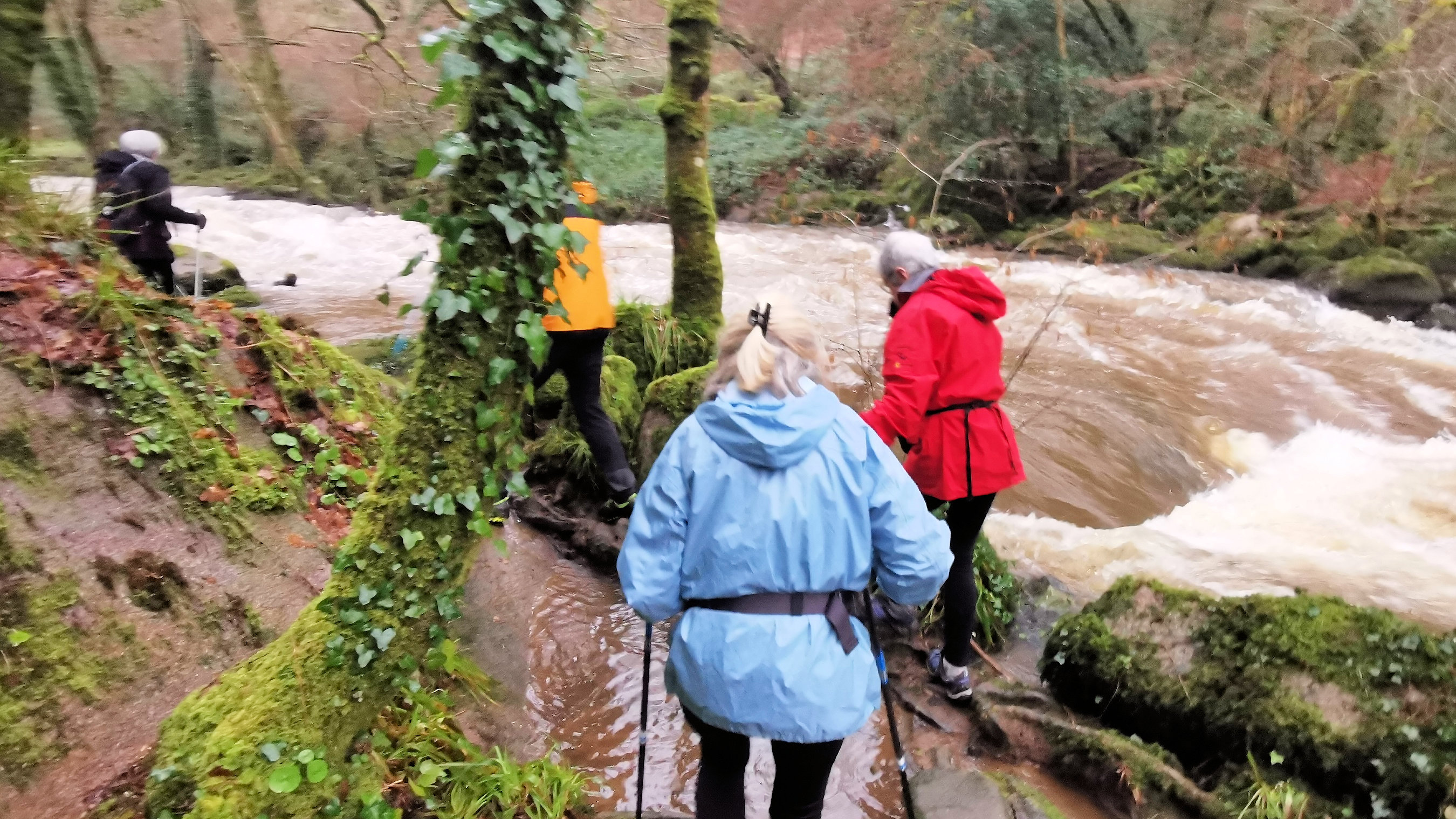 13-IMG_20210121_100604