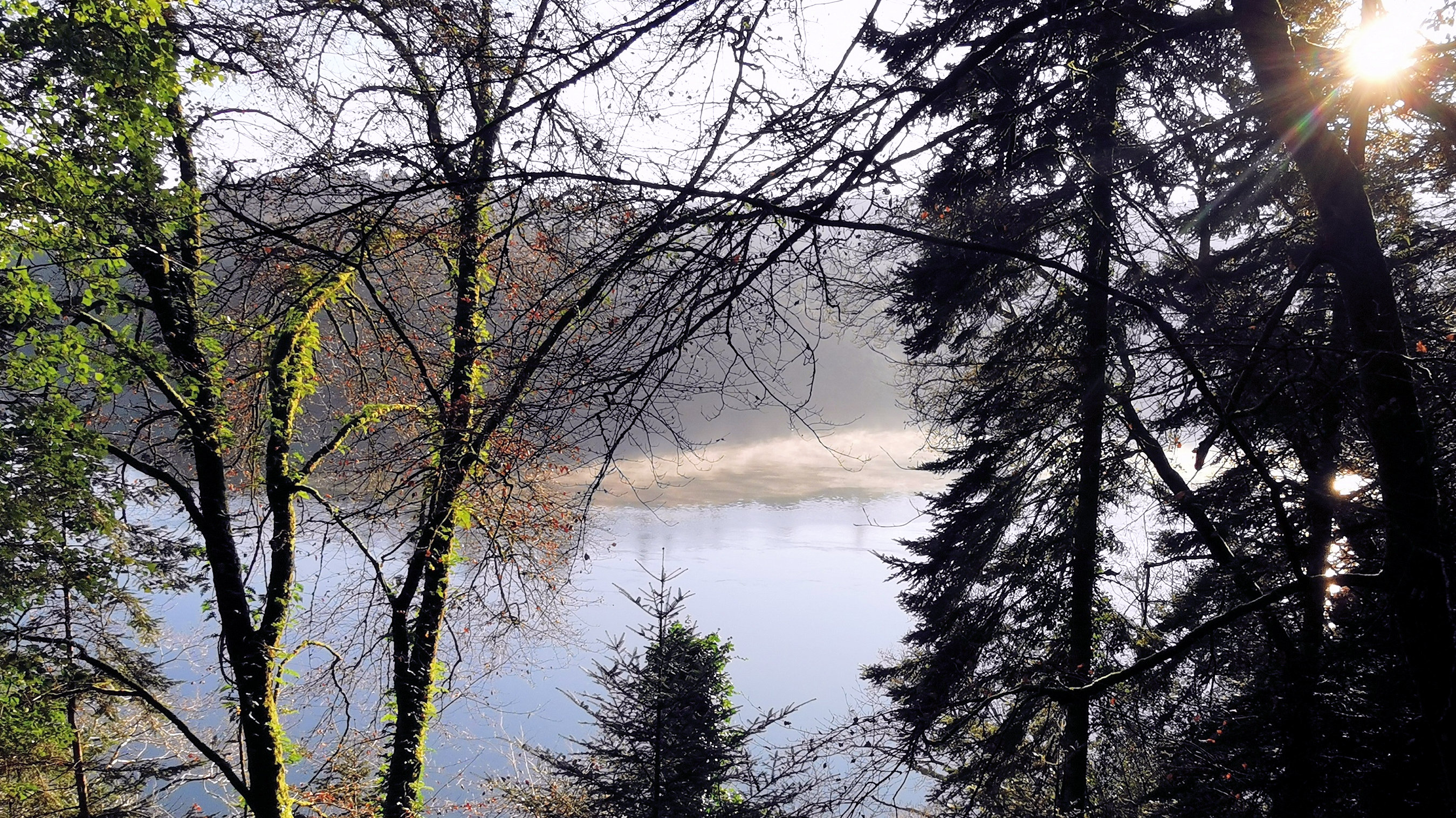 21-IMG_20210109_104243