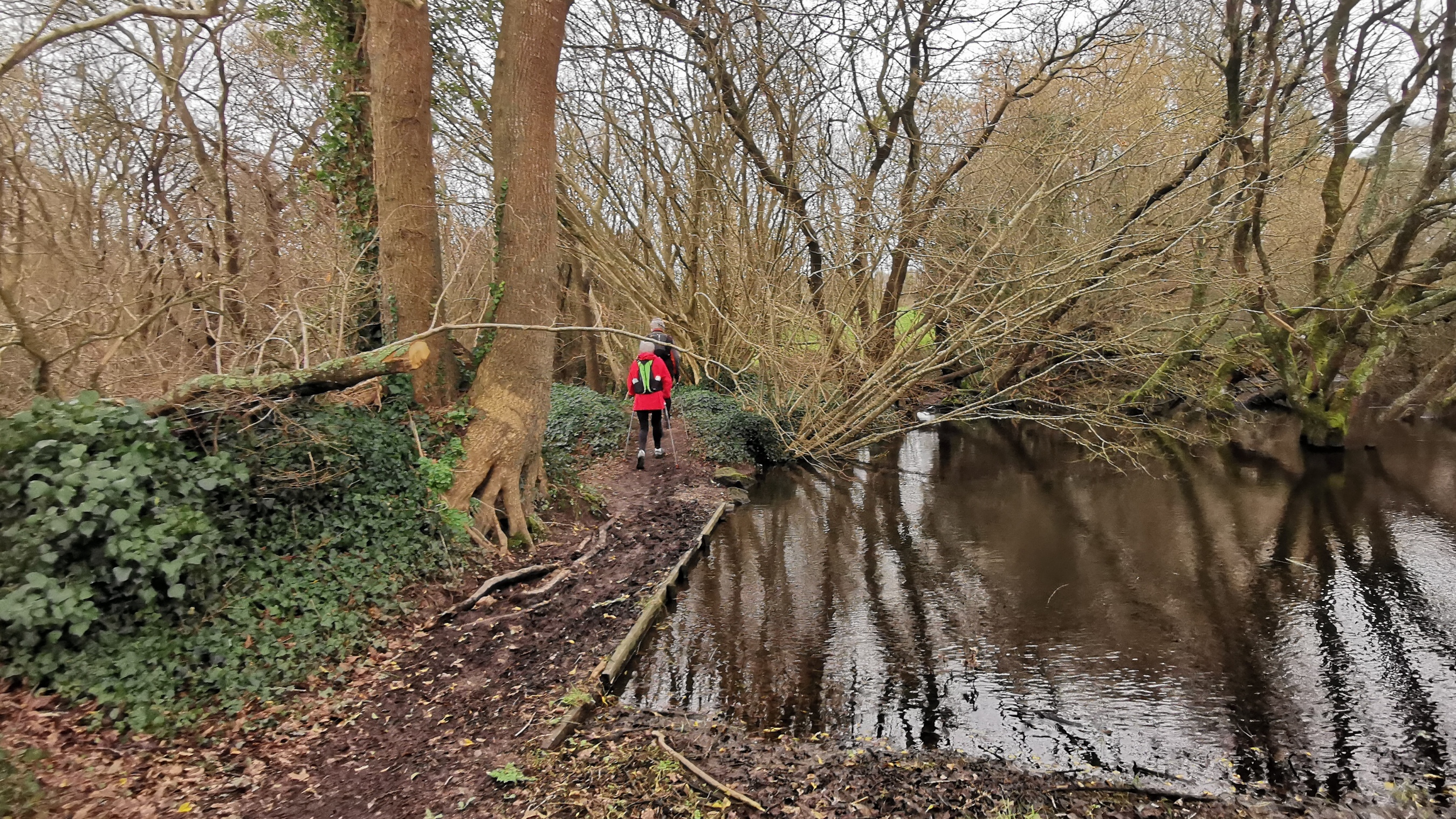 078-IMG_20210220_113357