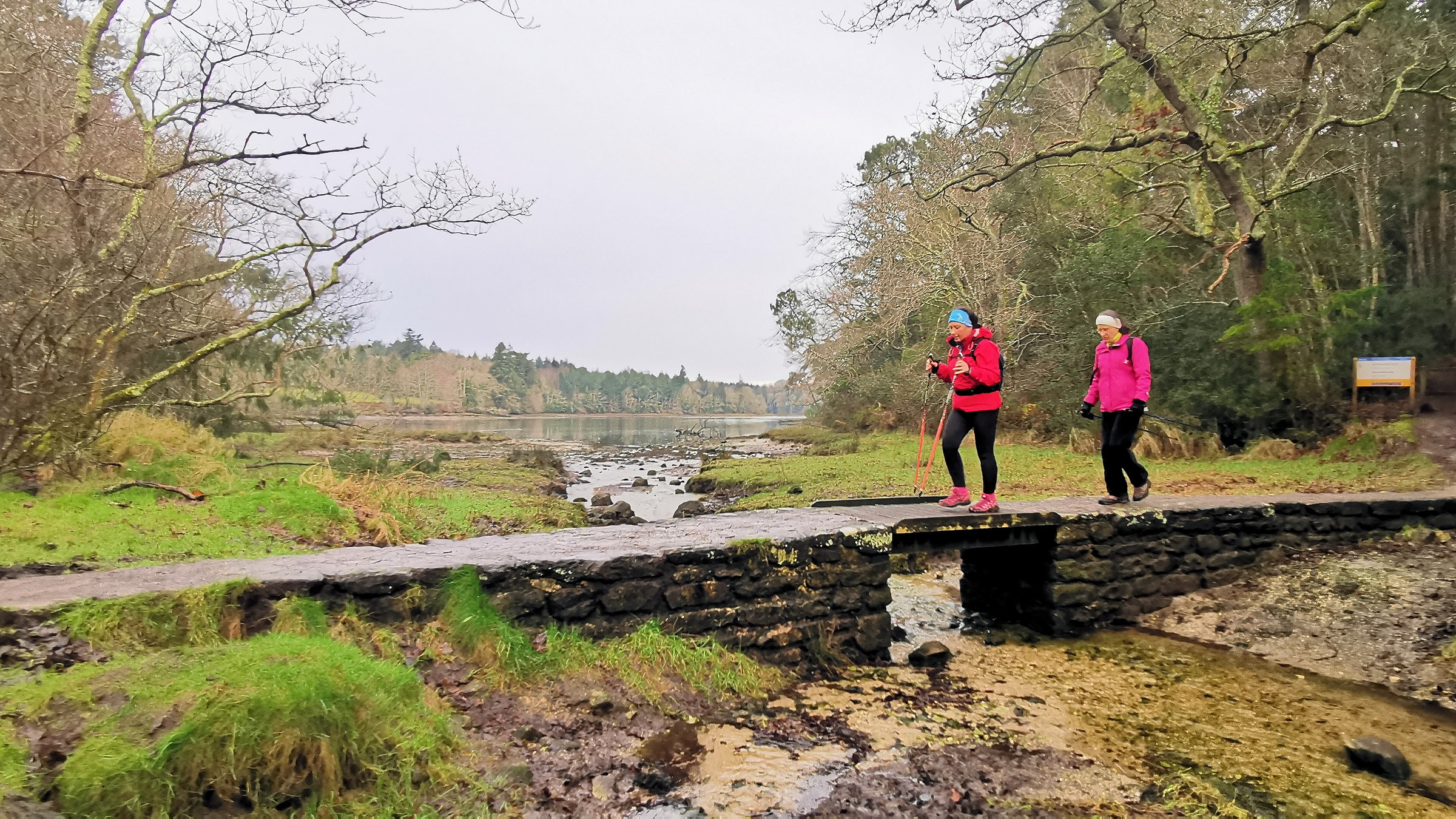 04-IMG_20210104_103706