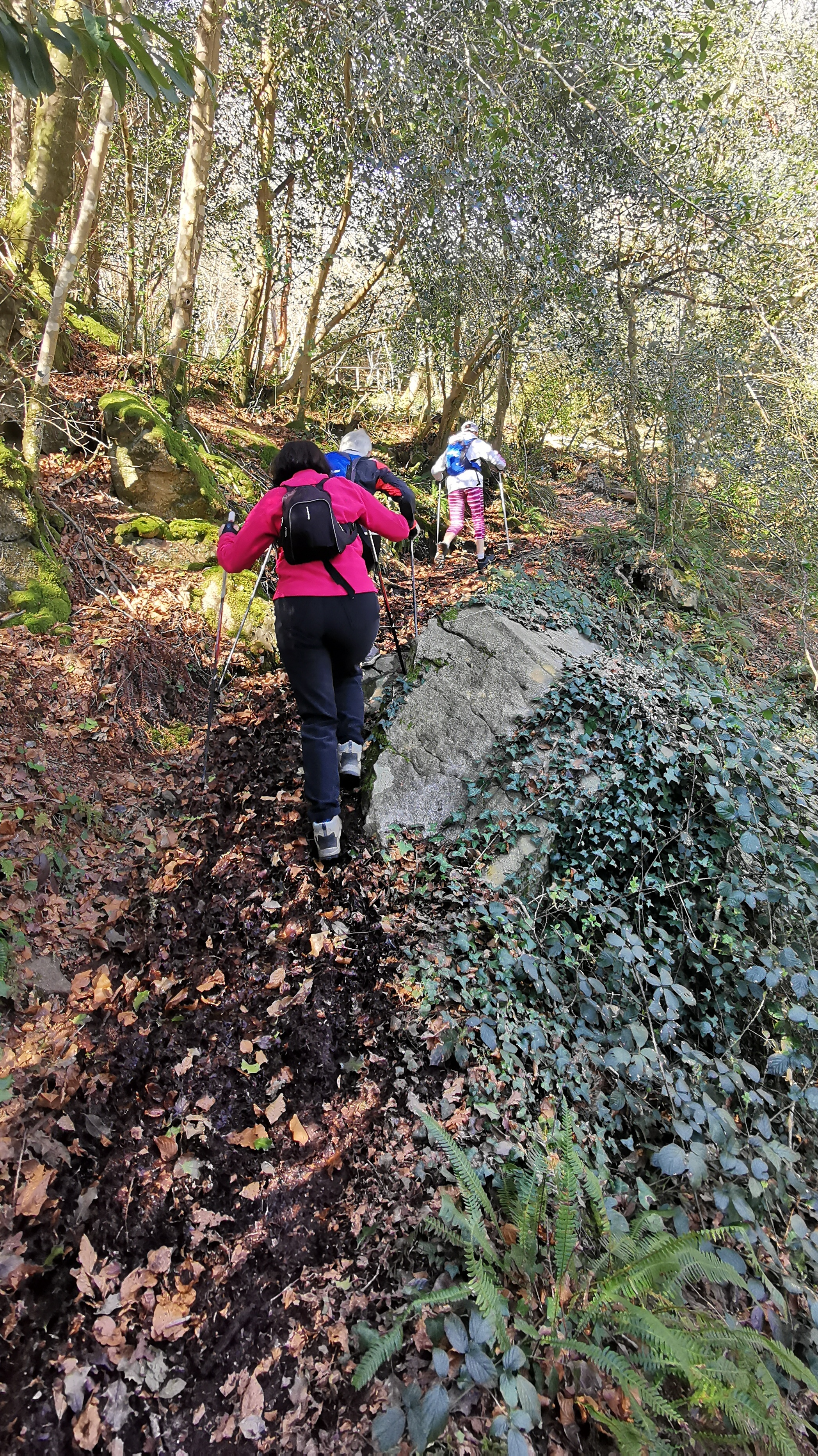 44-IMG_20210320_113021