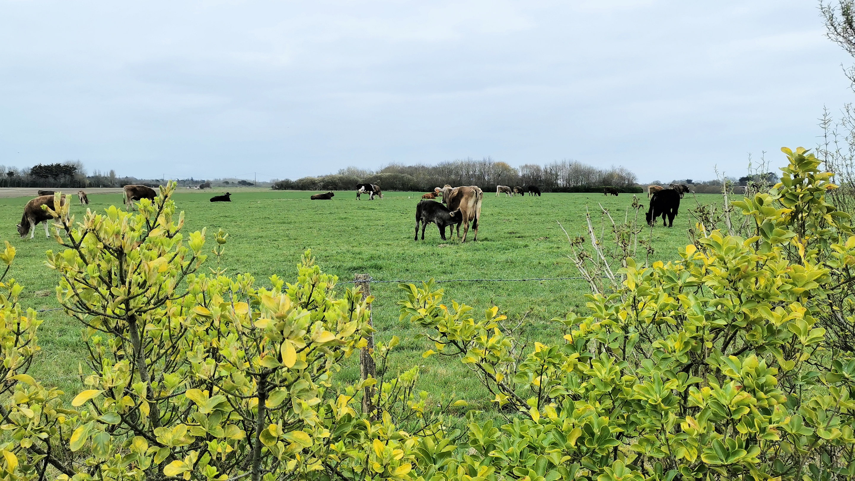 58-IMG_20210321_111726