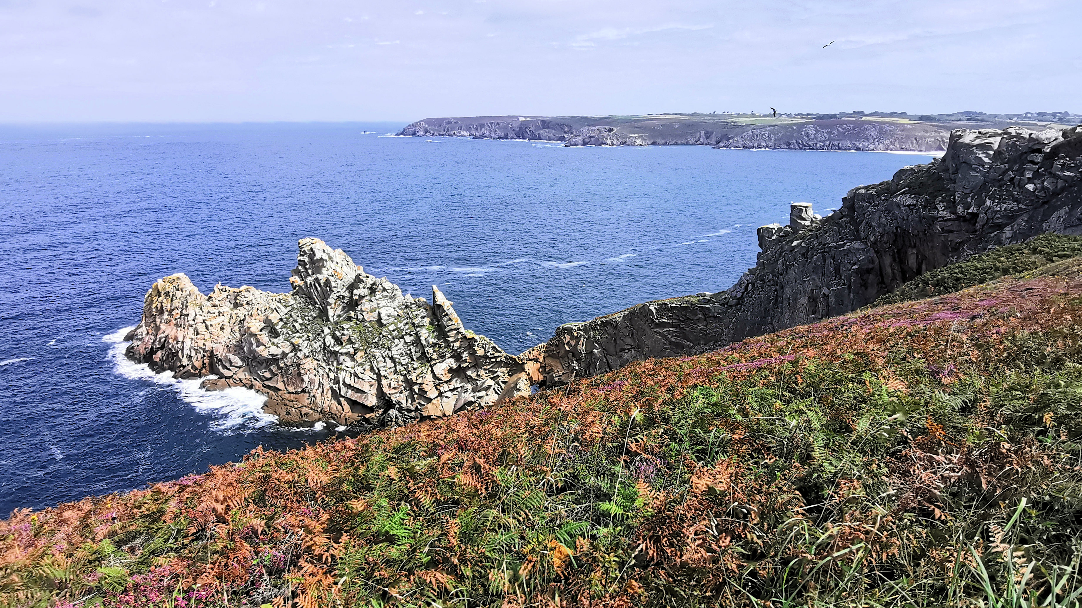 186-IMG_20210815_123243