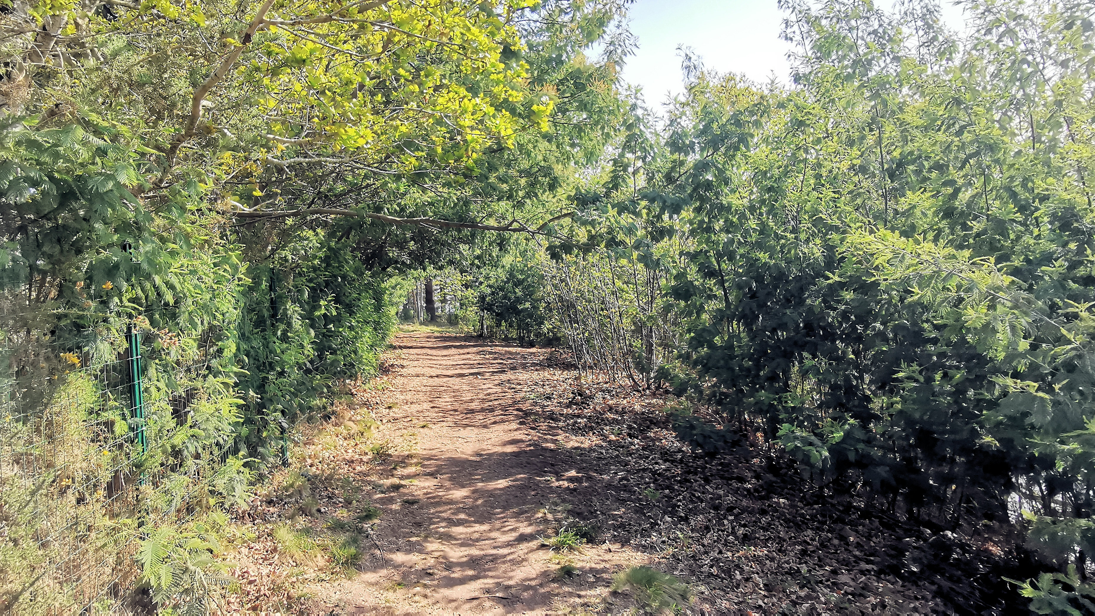 57-IMG_20210422_111440_1