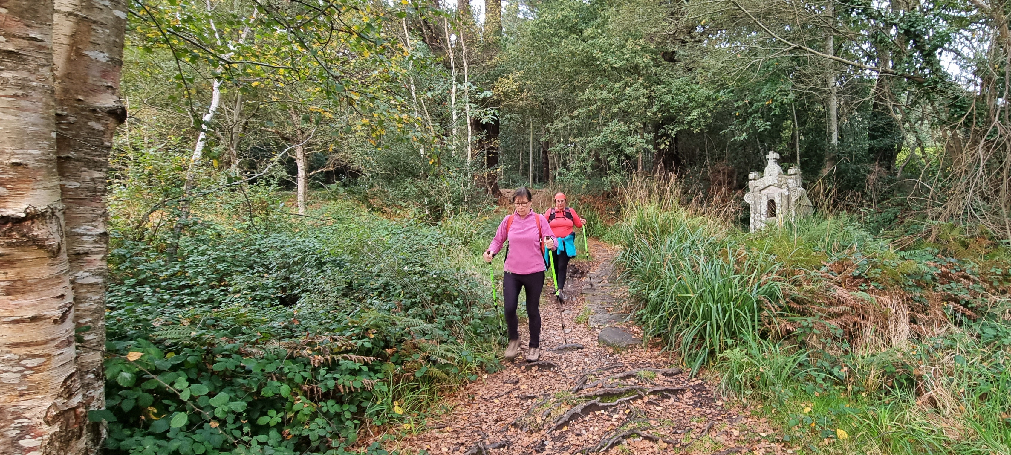 27-20211019_183828(0)