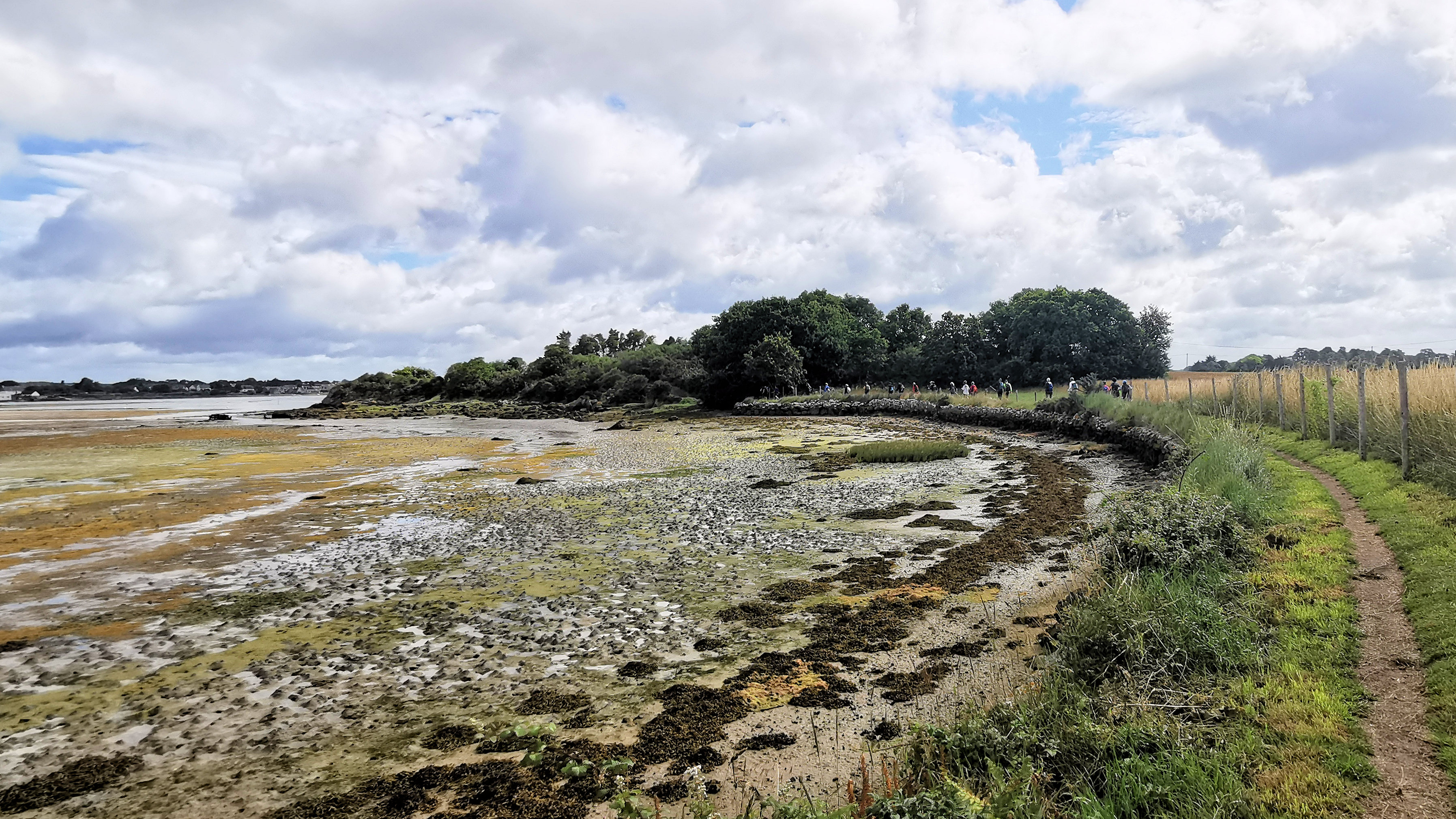 078-IMG_20210704_104121