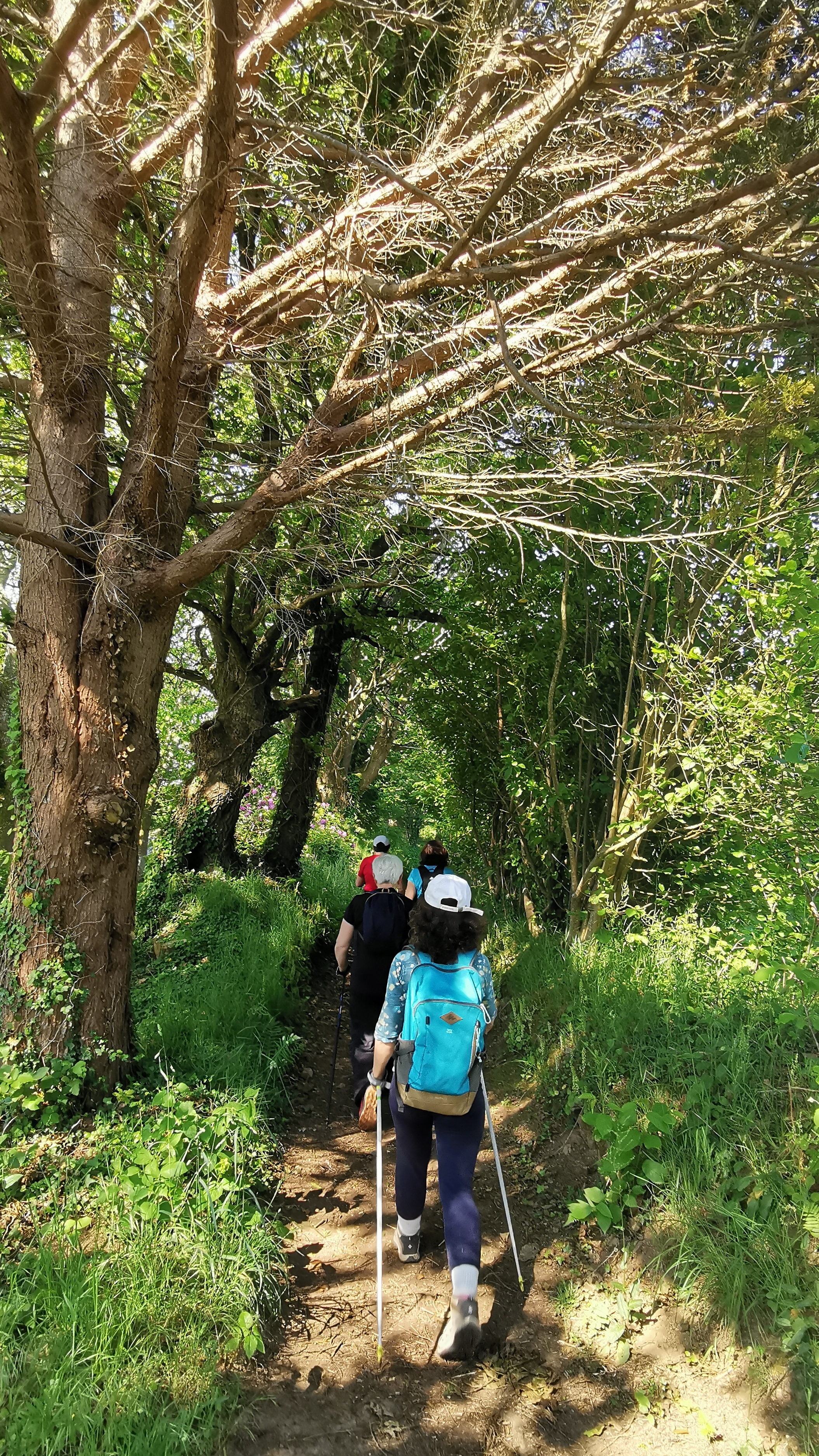 35-IMG_20210531_105323