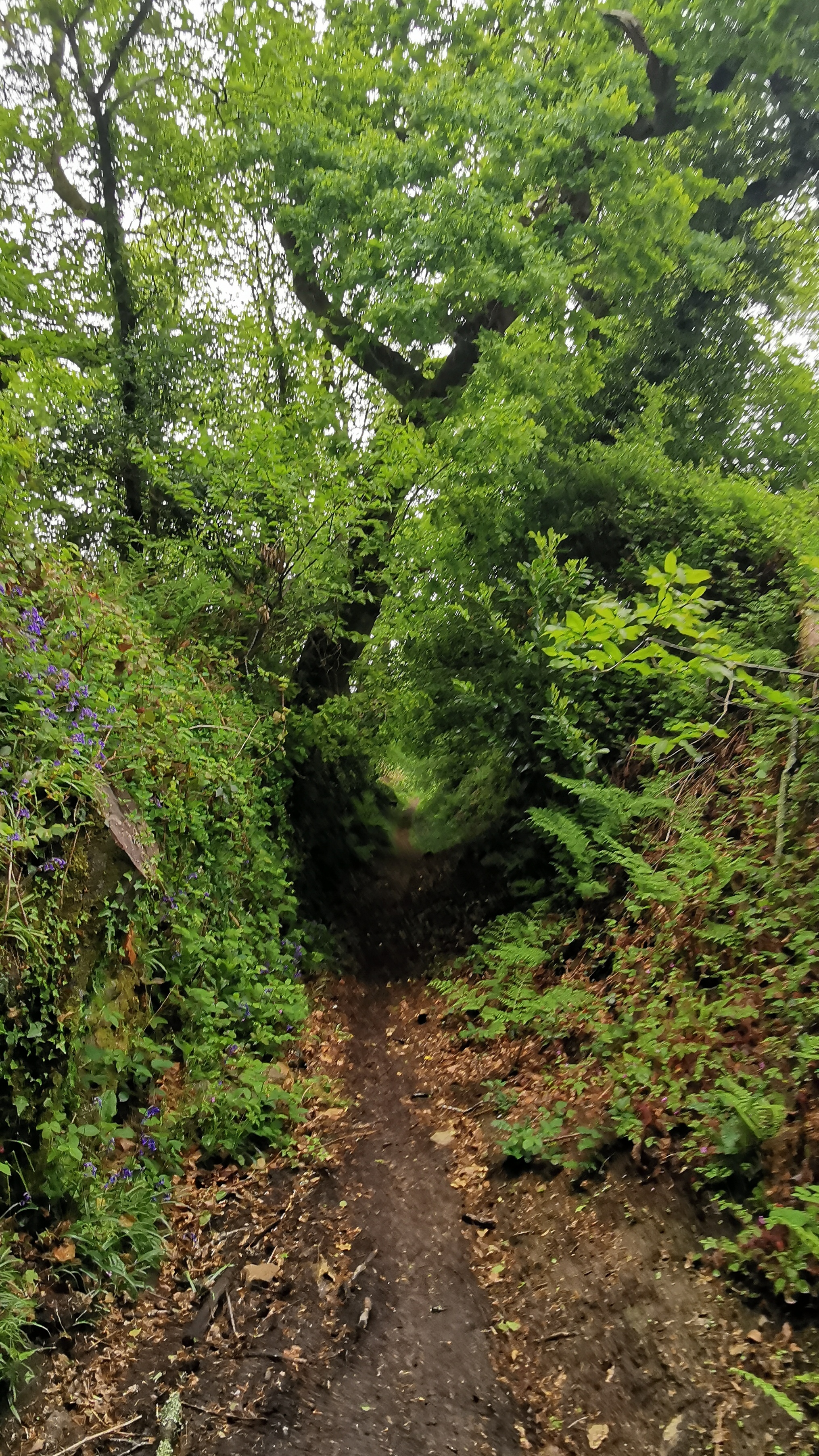 75-IMG_20210508_114027