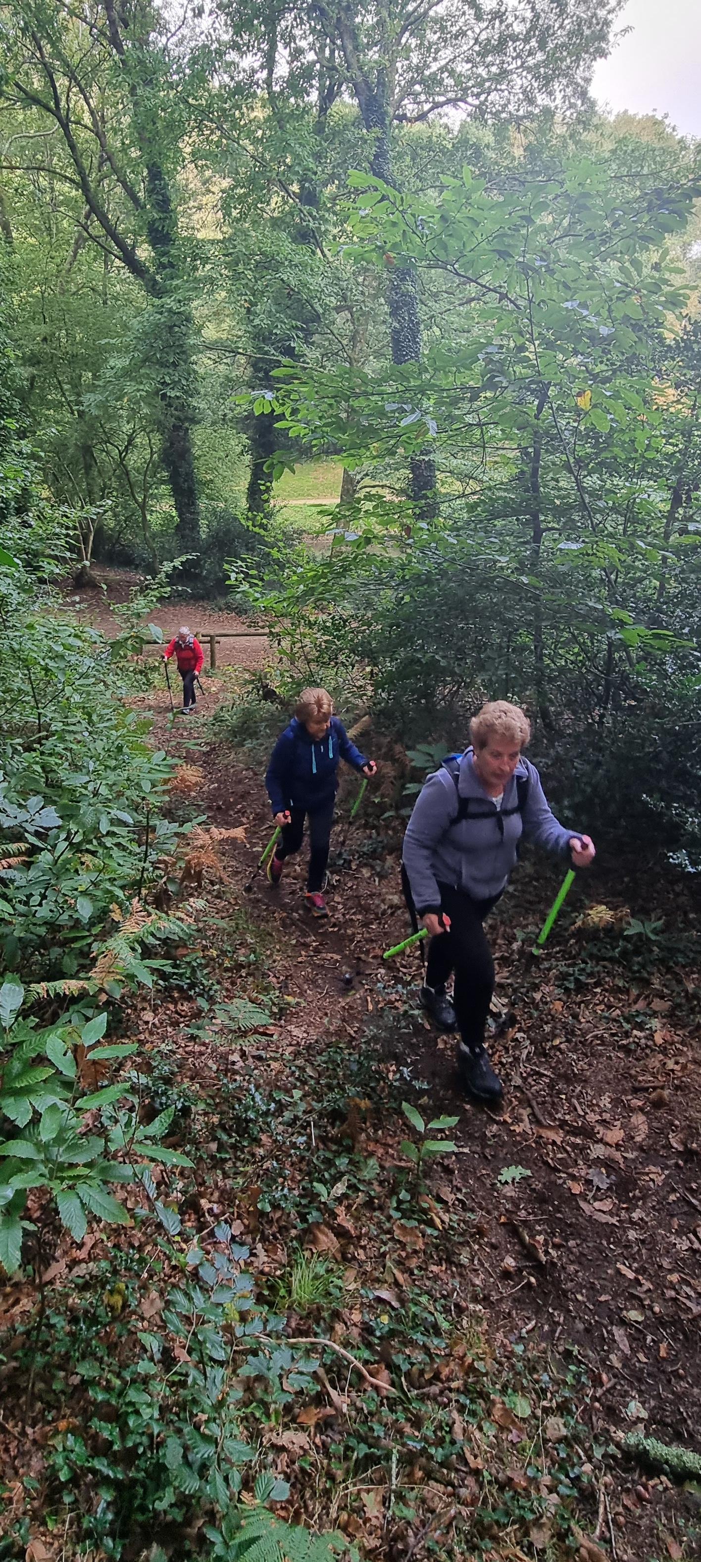 18-20211011_102924(0)