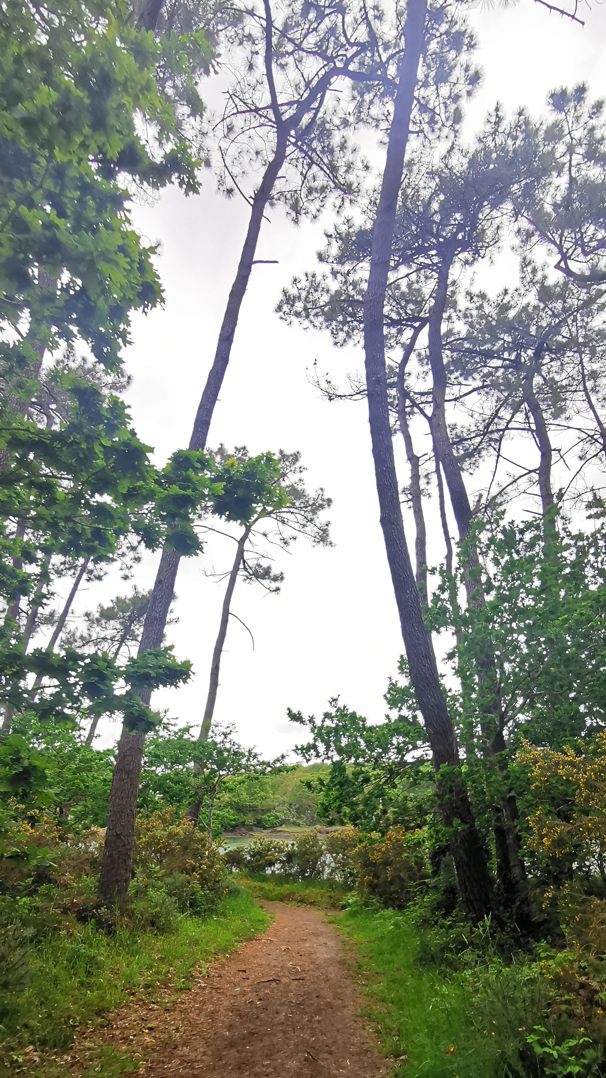 56-IMG_20210520_103640