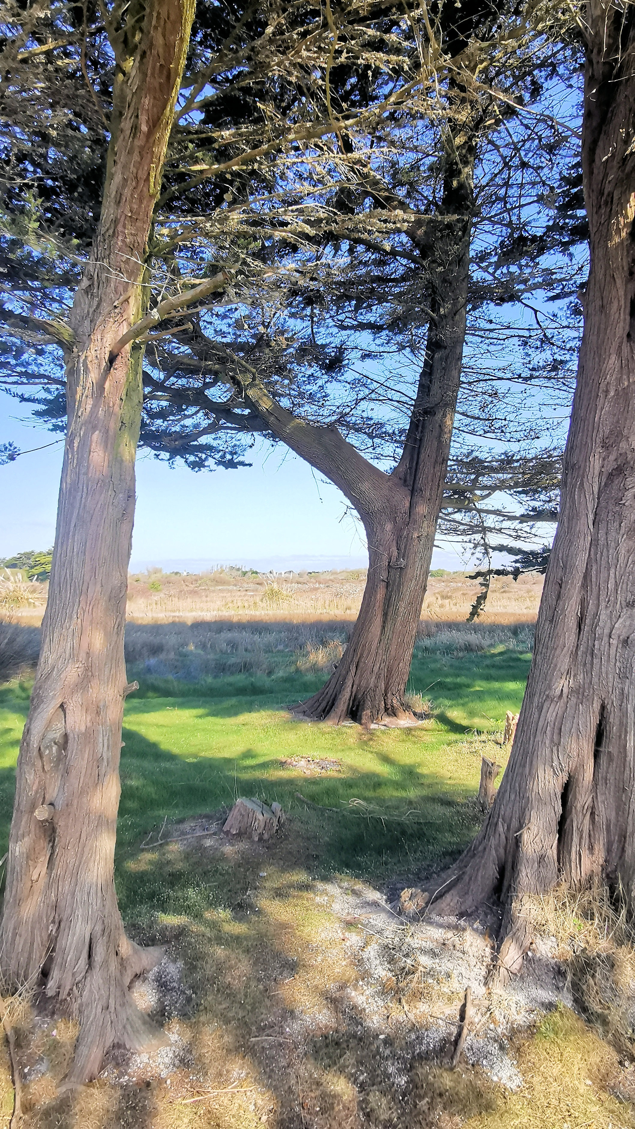 42-IMG_20210403_111306