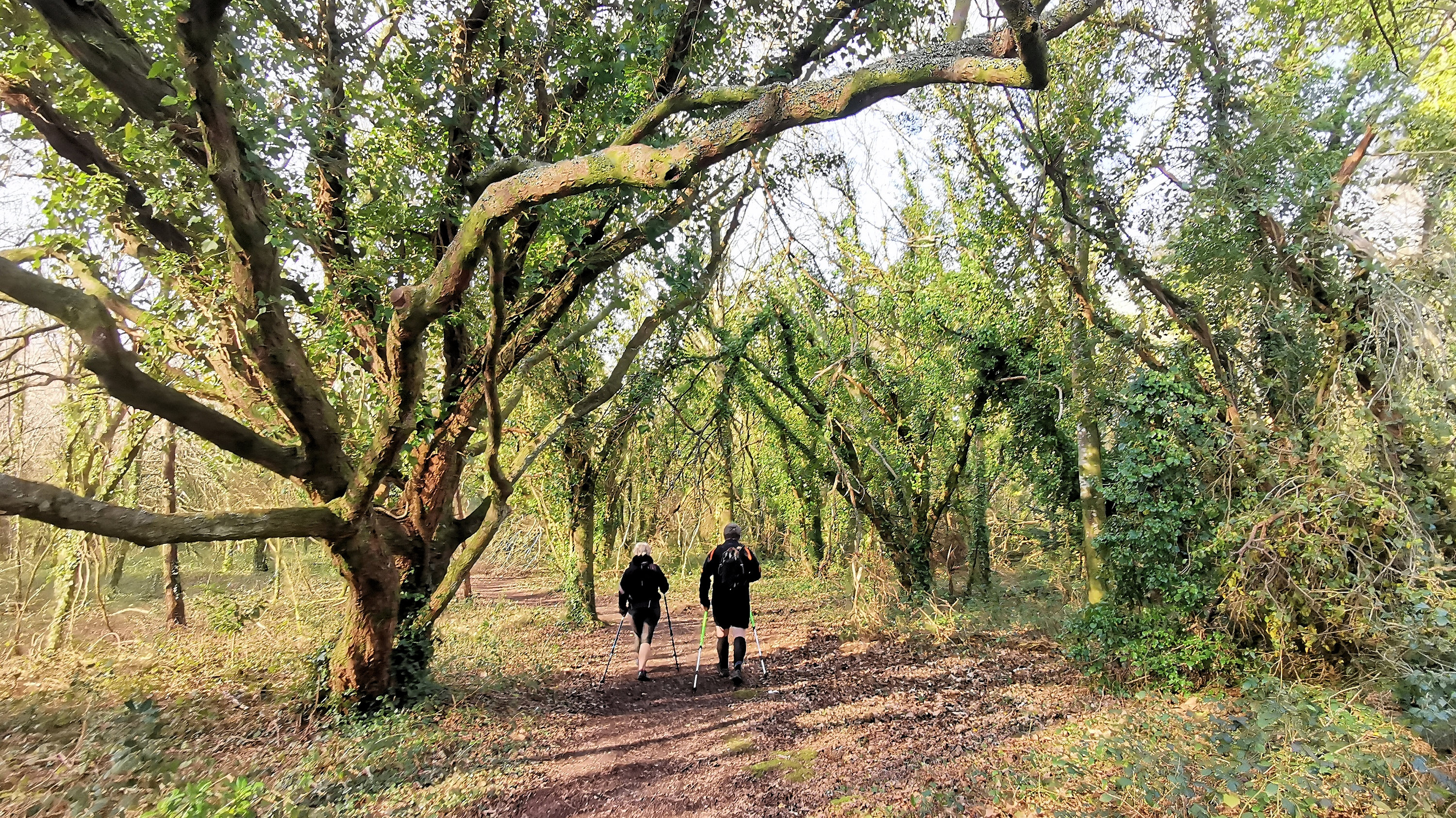 11-IMG_20210301_102738