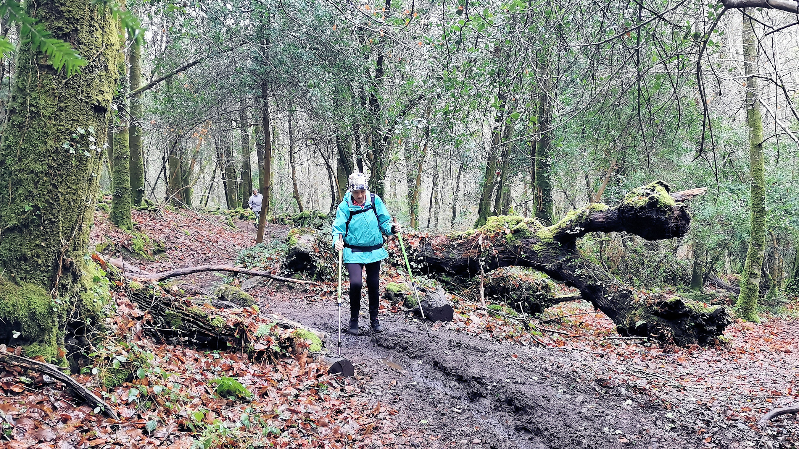 20-IMG_20210119_110804