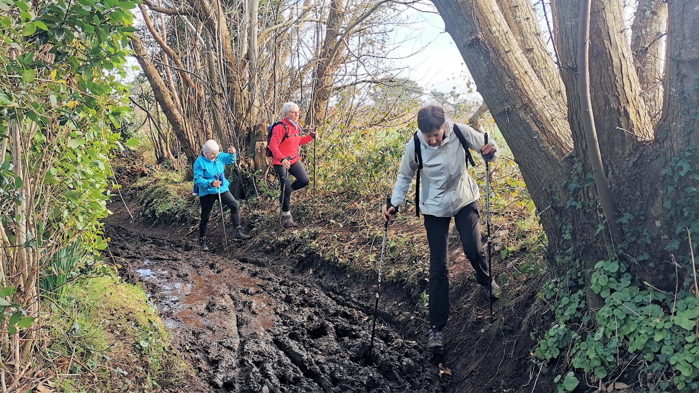 76-IMG_20210207_112540